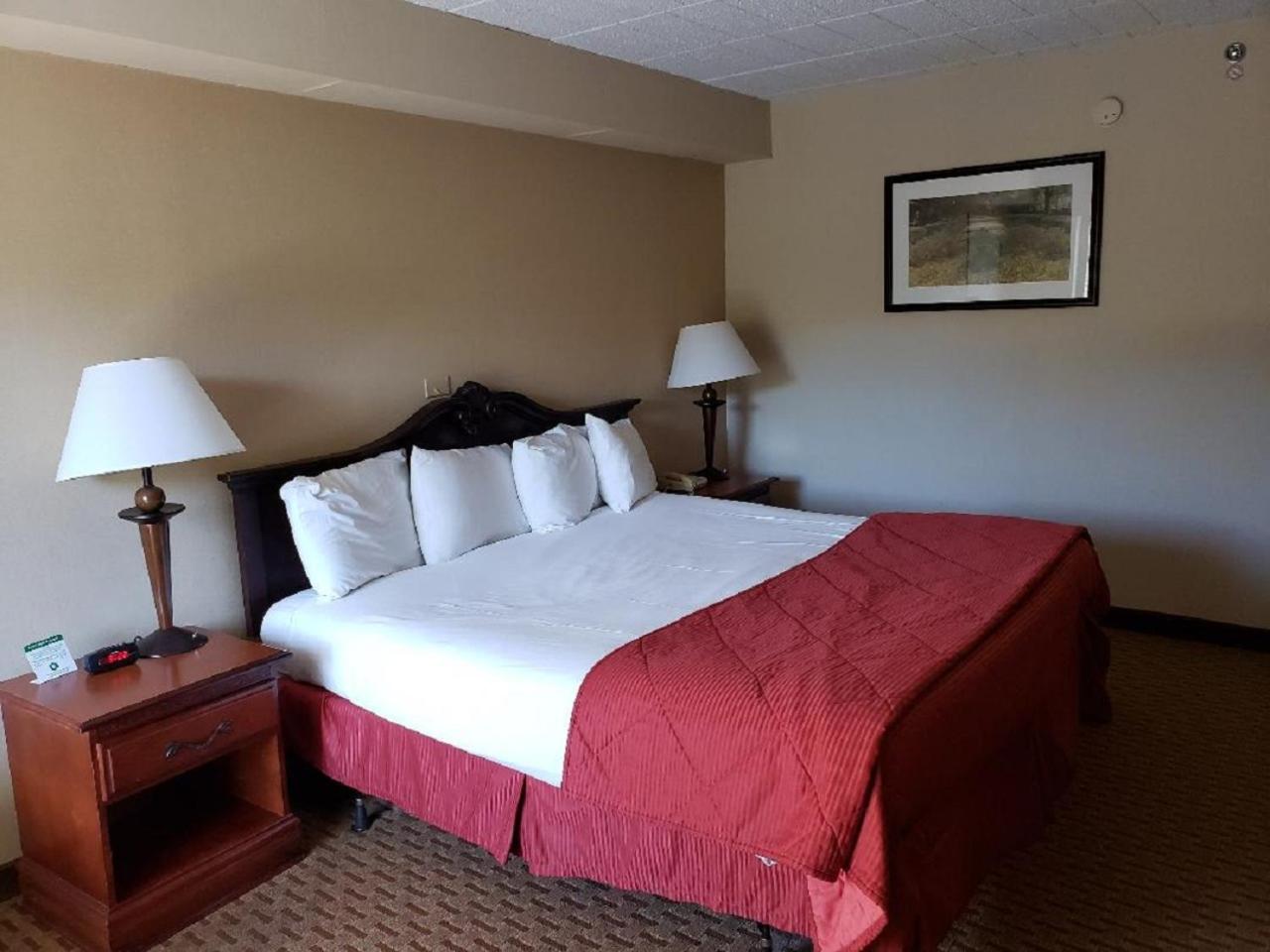 Bi-Level King Suite - Photo 1