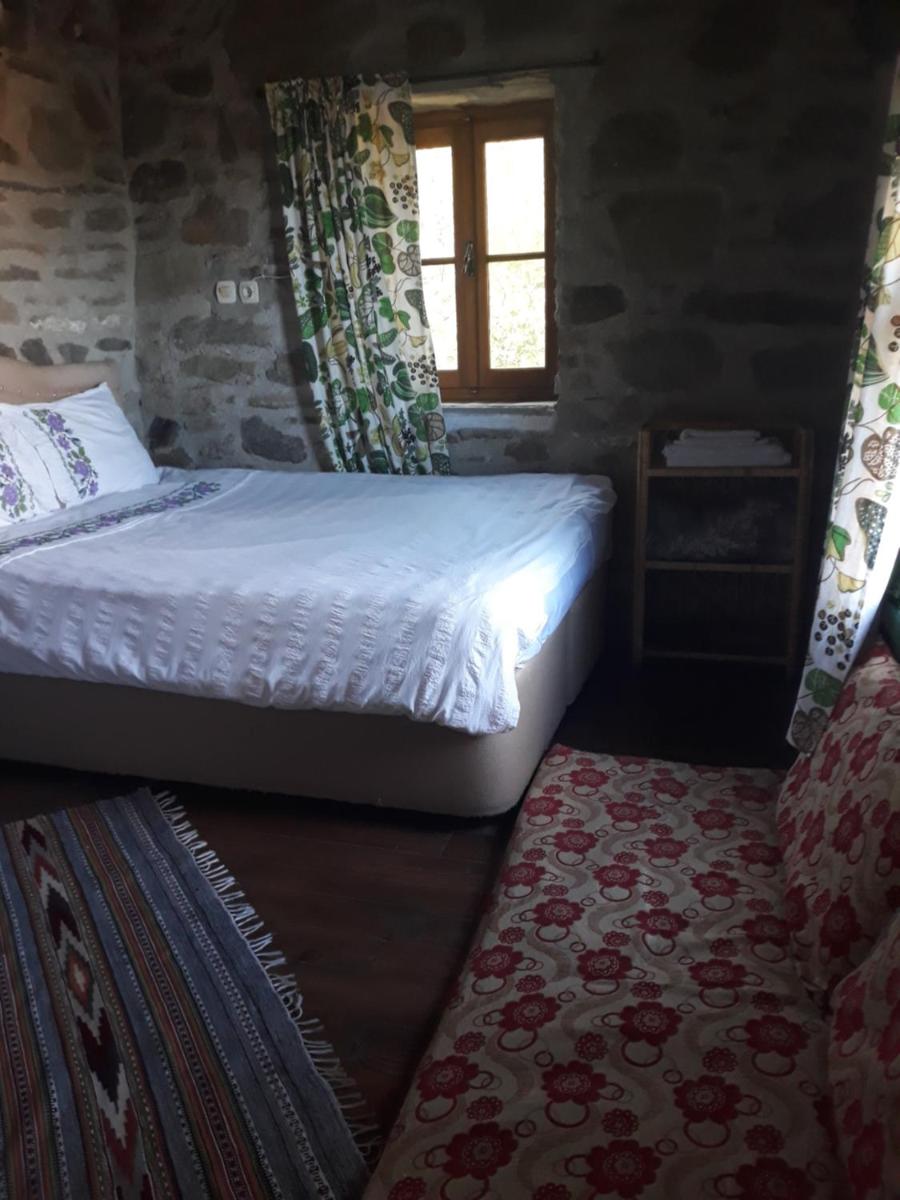 Double Room with Garden View photo 2