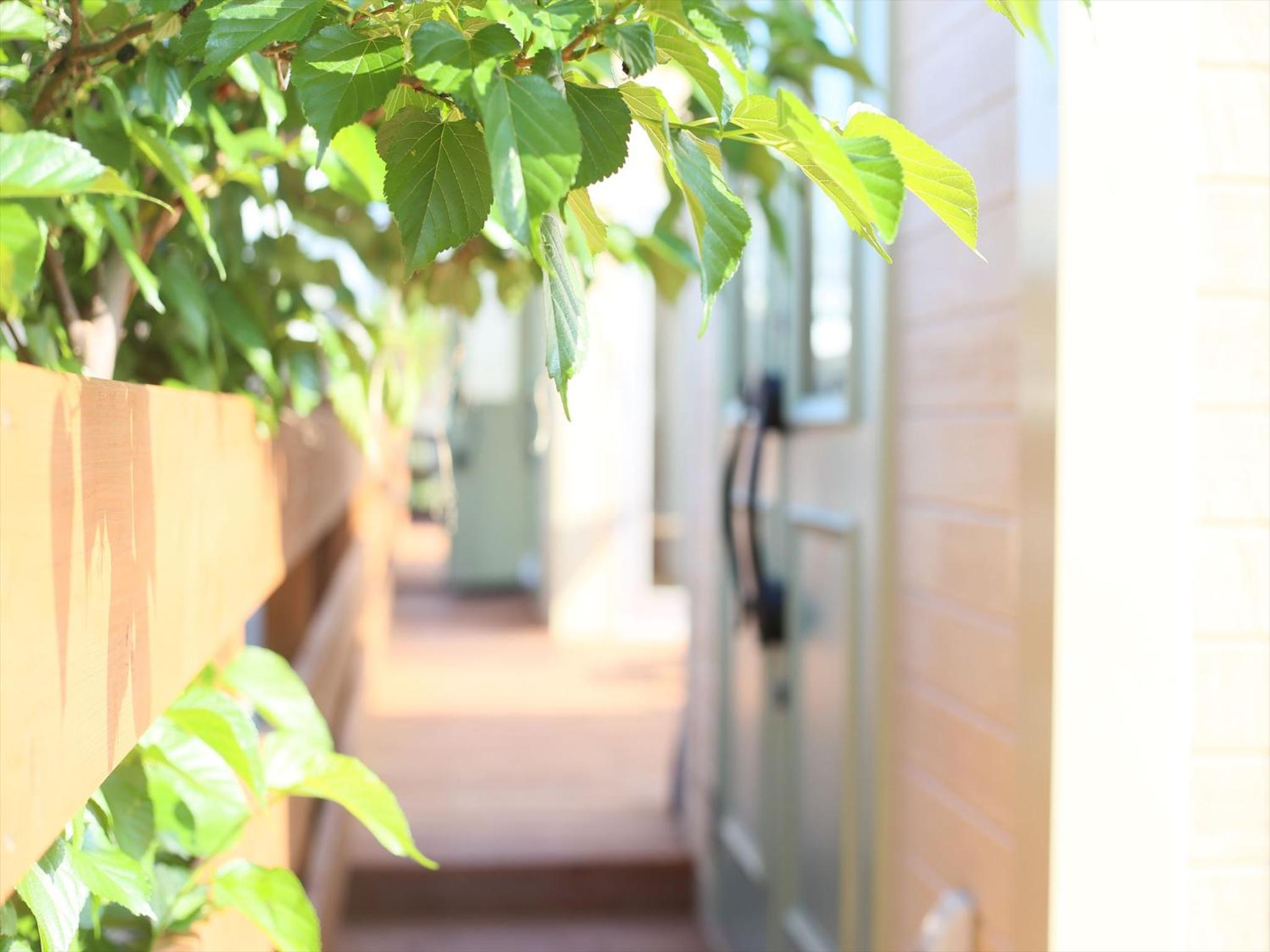 Standard Villa - Photo 19