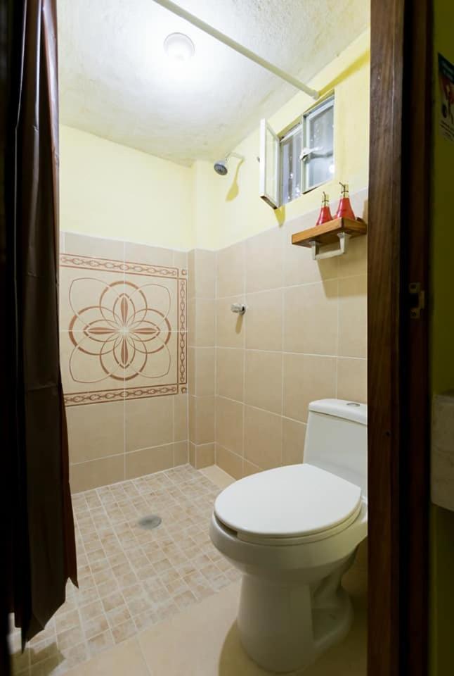 Double or Twin Room photo 3