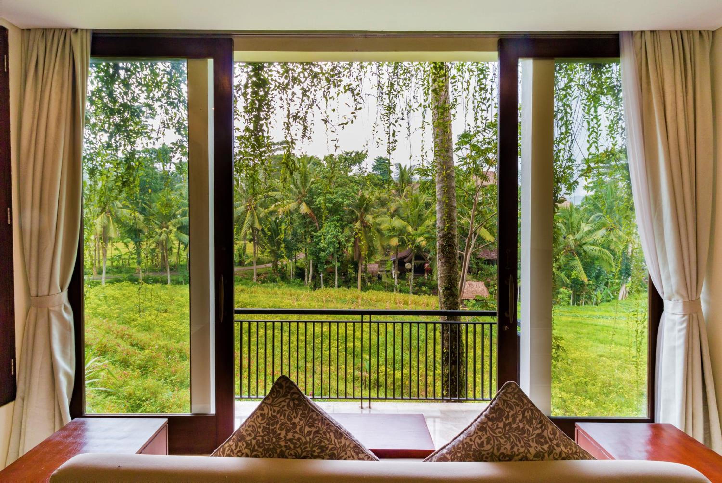 Rice Terrace Suite photo 3