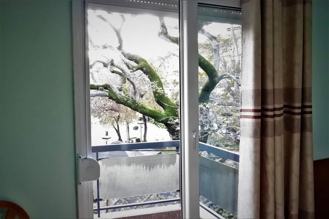 Double or Twin Room - Photo 4