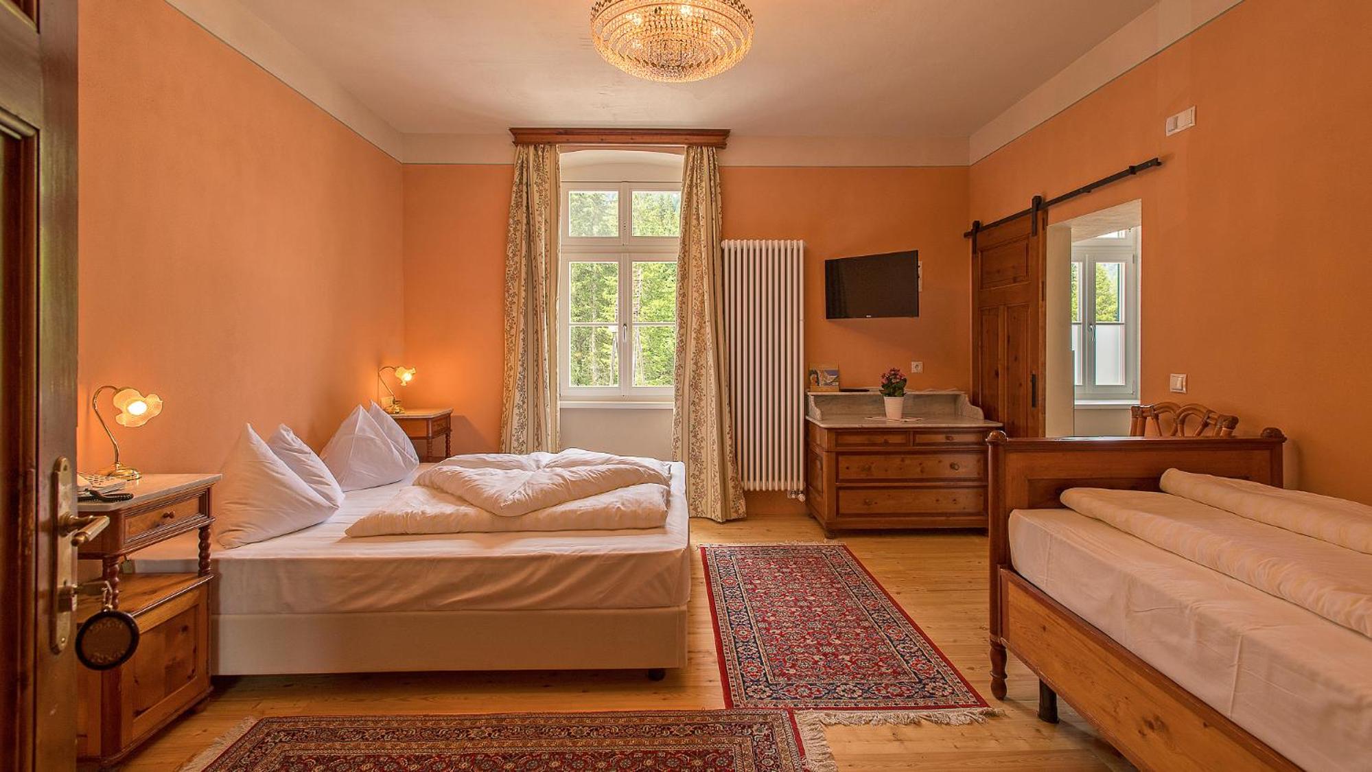 Double Room with Mountain View photo 1