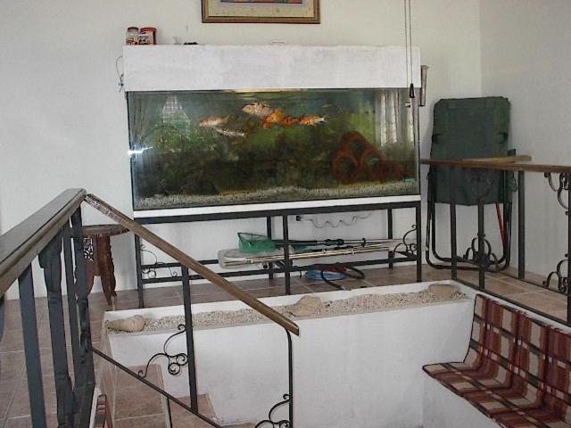 Family Room (5 Adults) photo 2