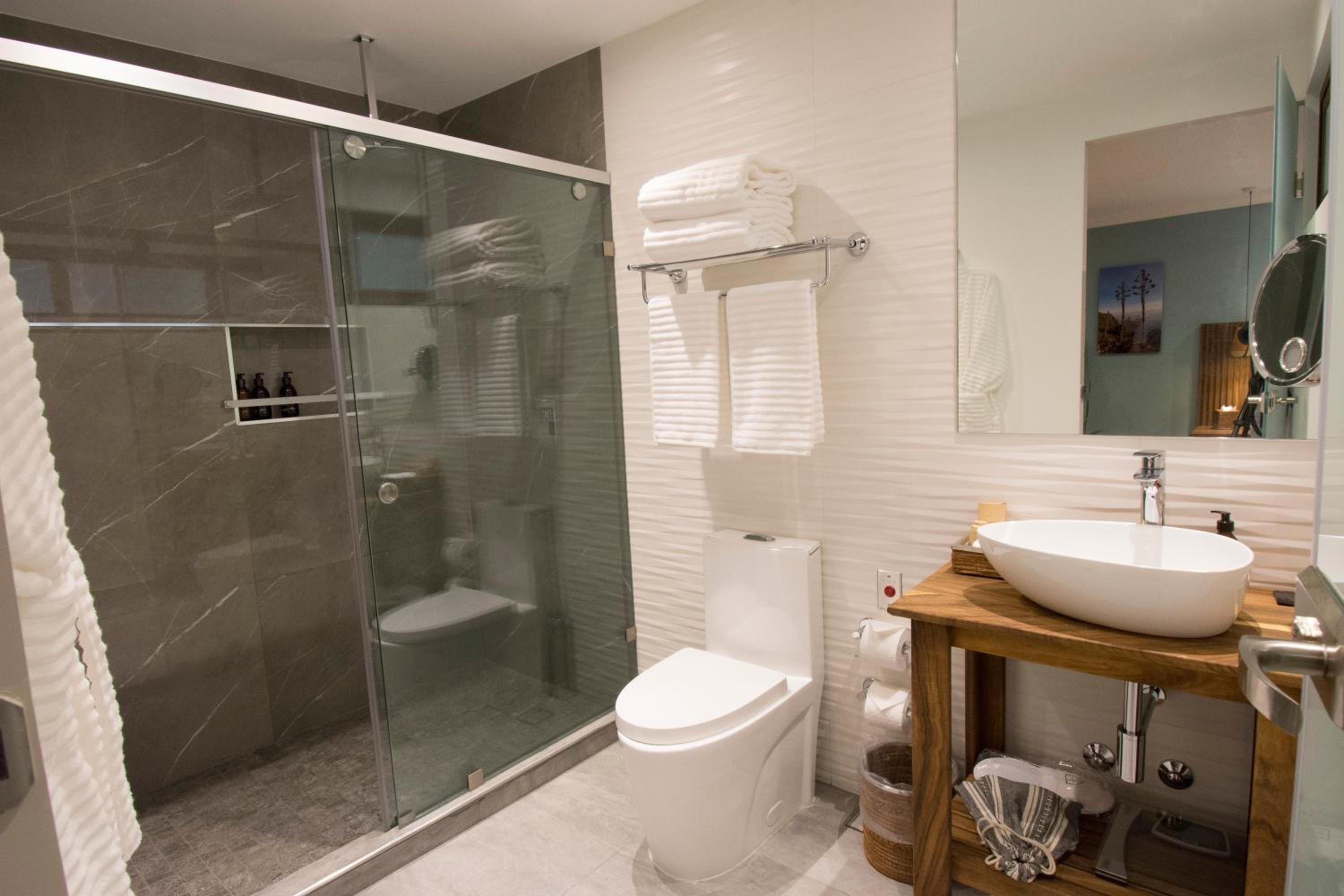 Deluxe Suite - Photo 8