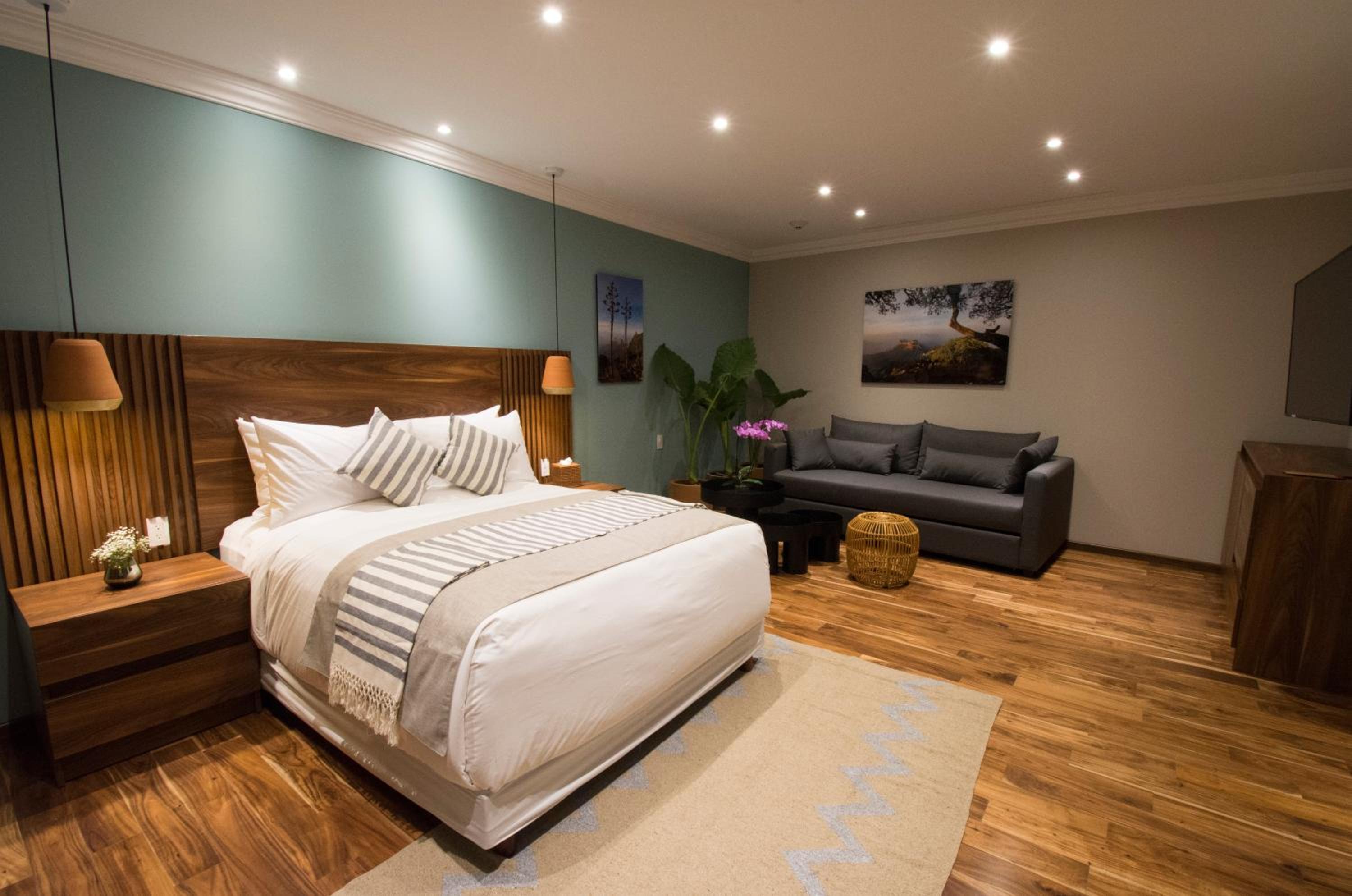 Deluxe Suite - Photo 1