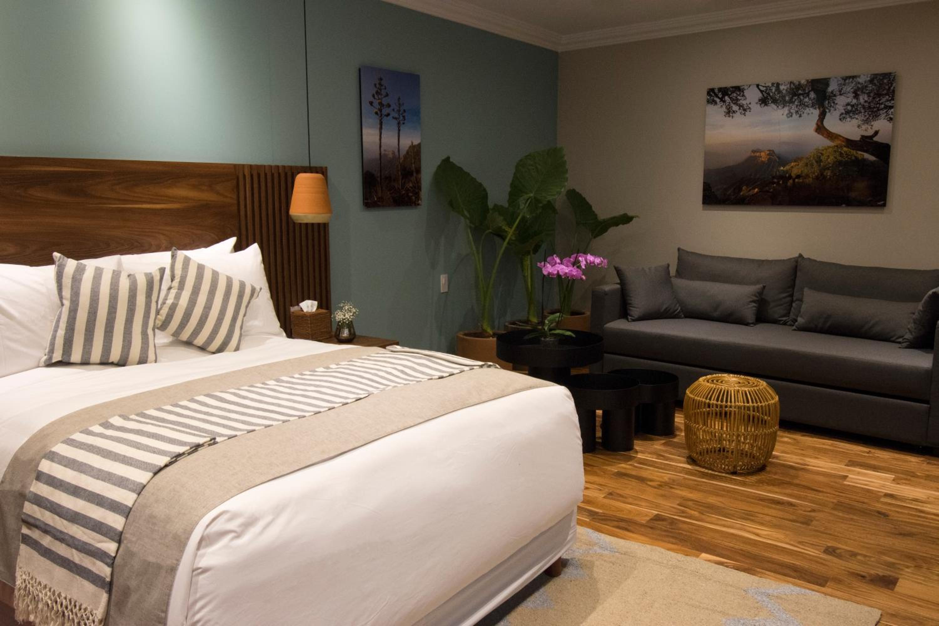 Deluxe Suite - Photo 5