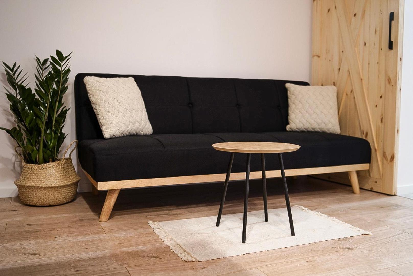 One-Bedroom Apartment - Photo 3