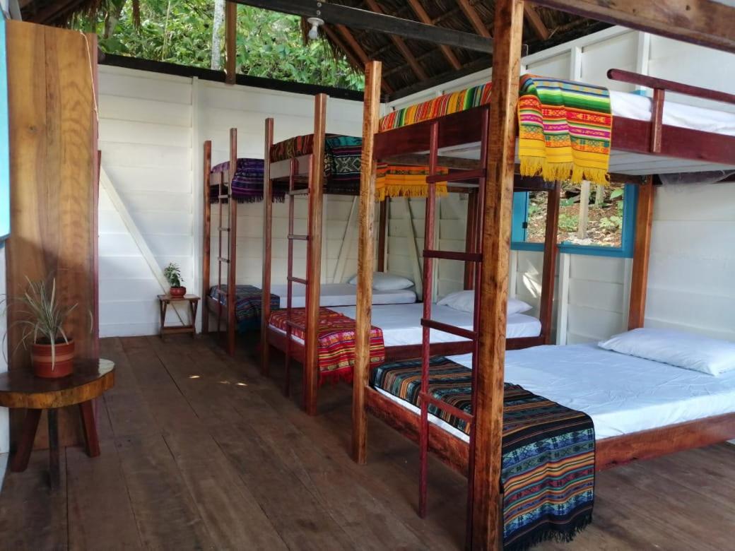 Bunk Bed in Mixed Dormitory Room photo 2