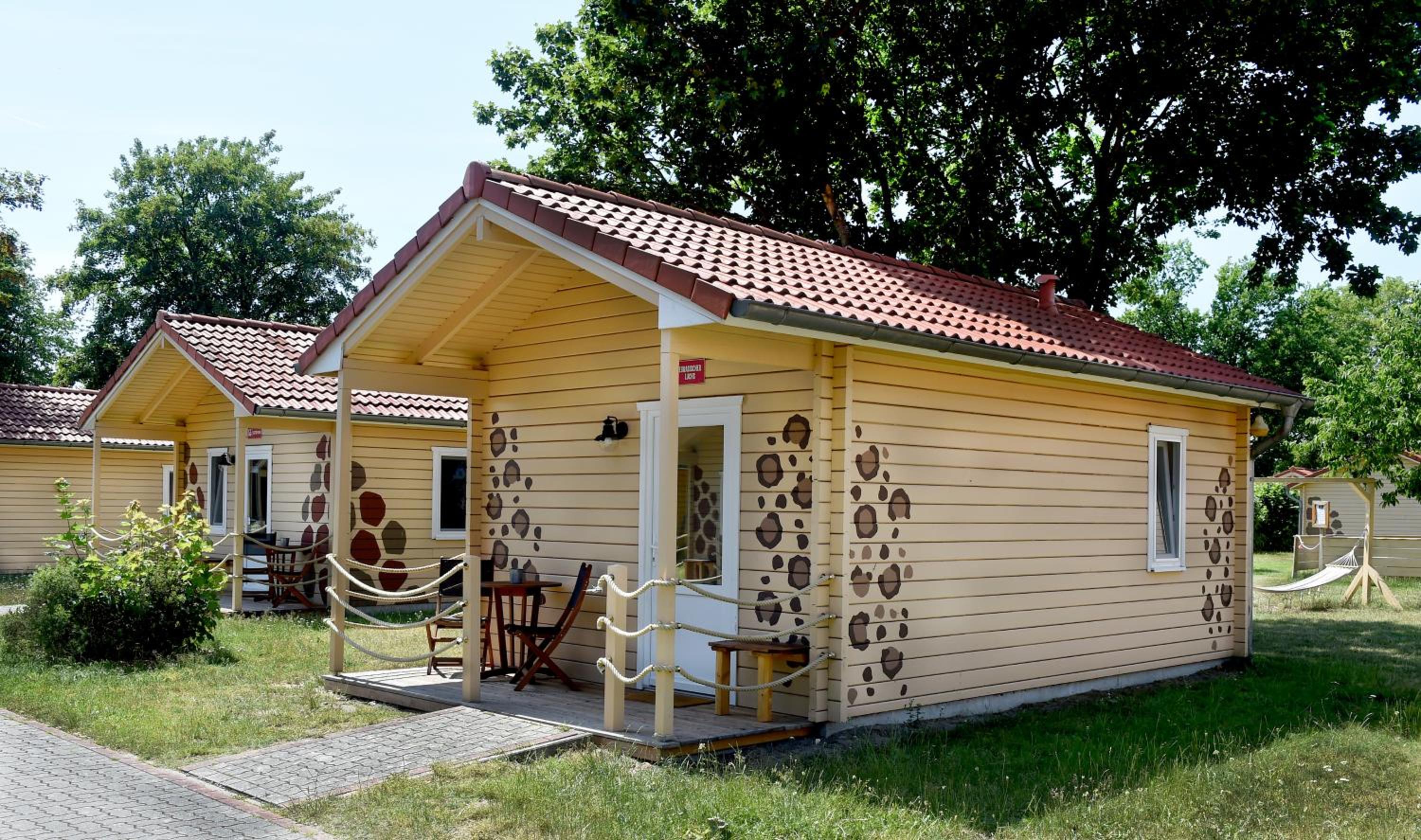 Safari King Lodge (excl. park entrance fee)  photo 1