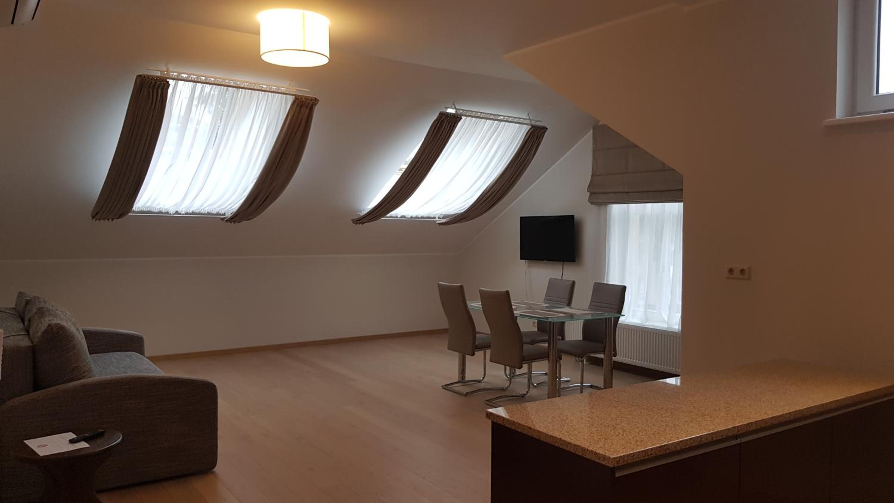 Attic One-Bedroom Apartment