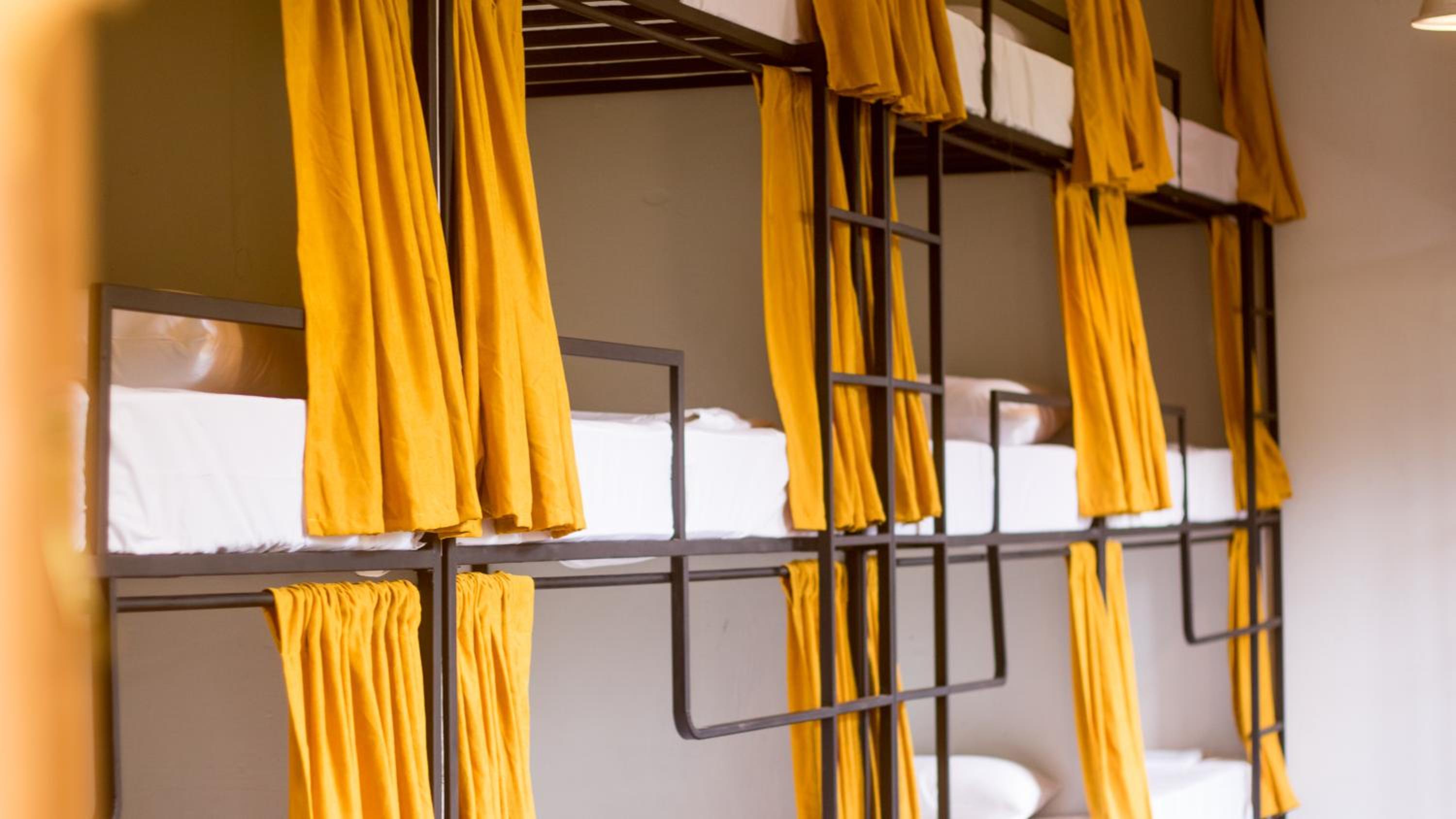 Bunk Bed in Mixed Dormitory Room photo 3