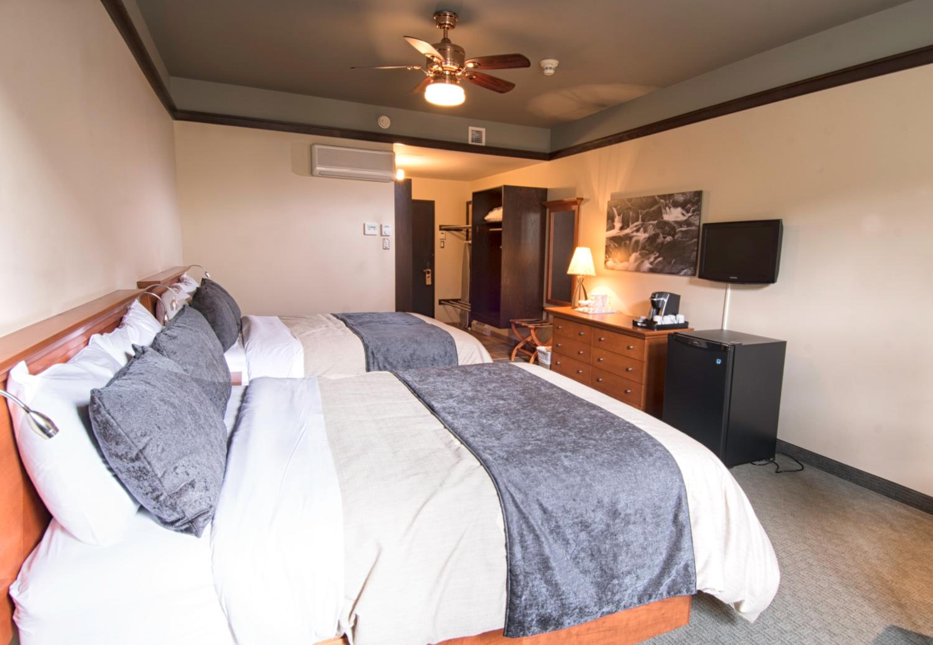 Large Double Room - Pavillon Caribou - Annex photo 3