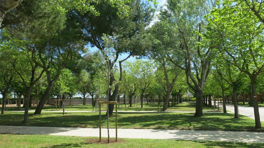 Empty Lot photo 2