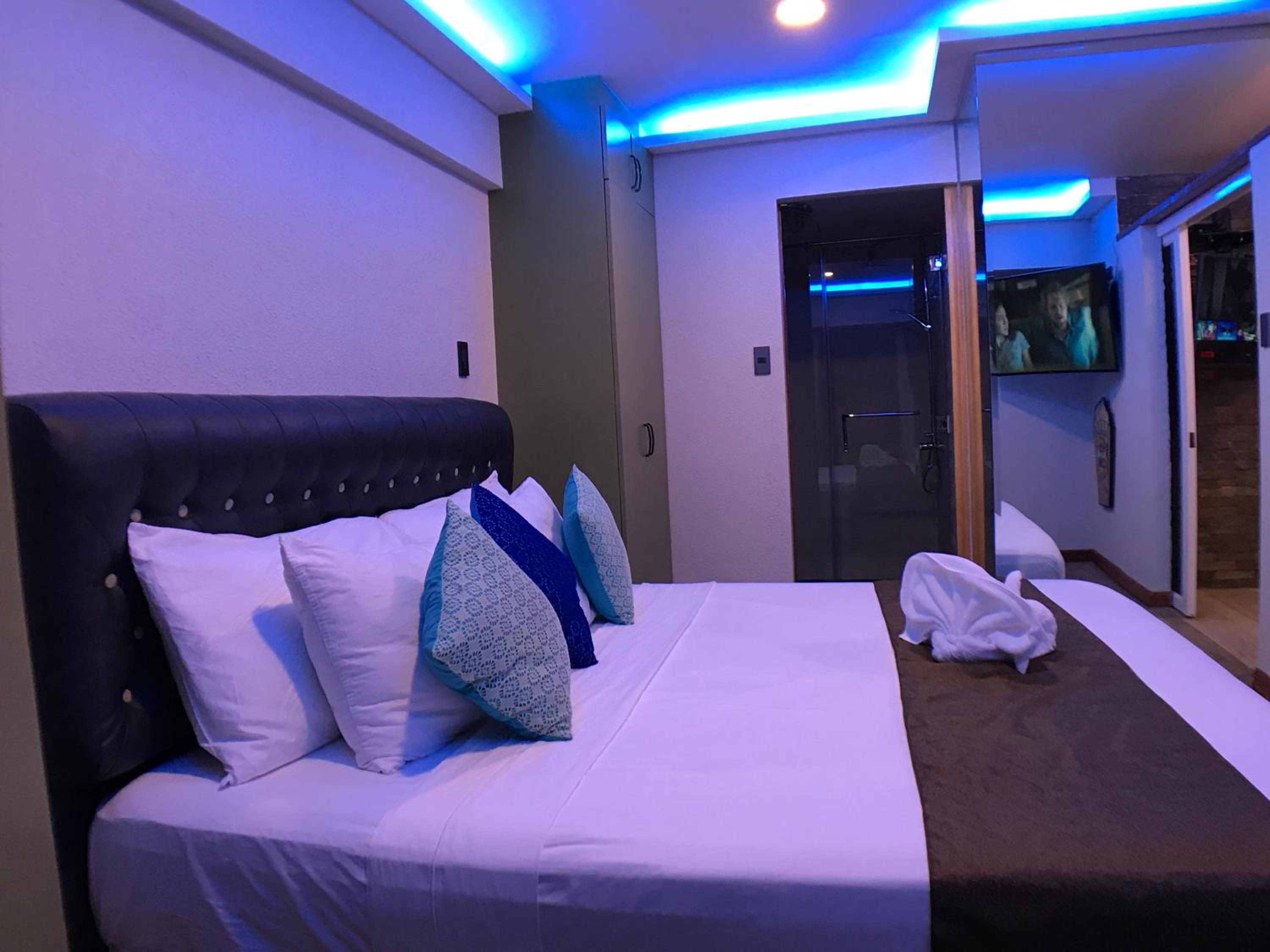 Standard Studio Suite - Photo 4