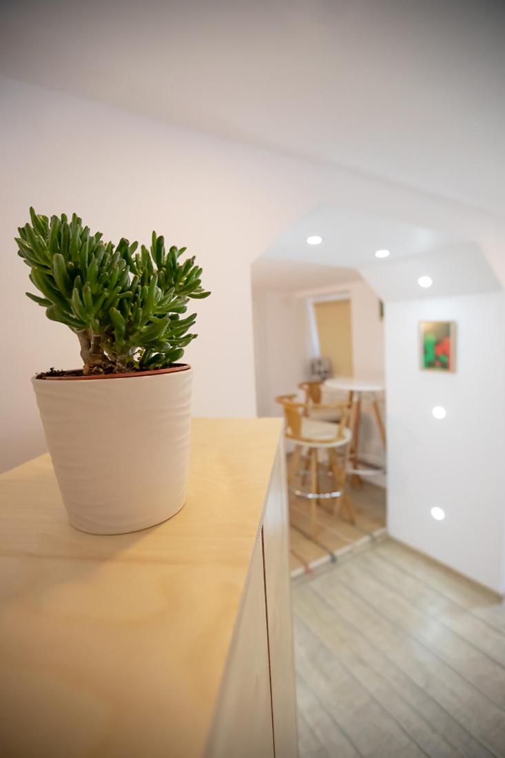 Double or Twin Room - Photo 8