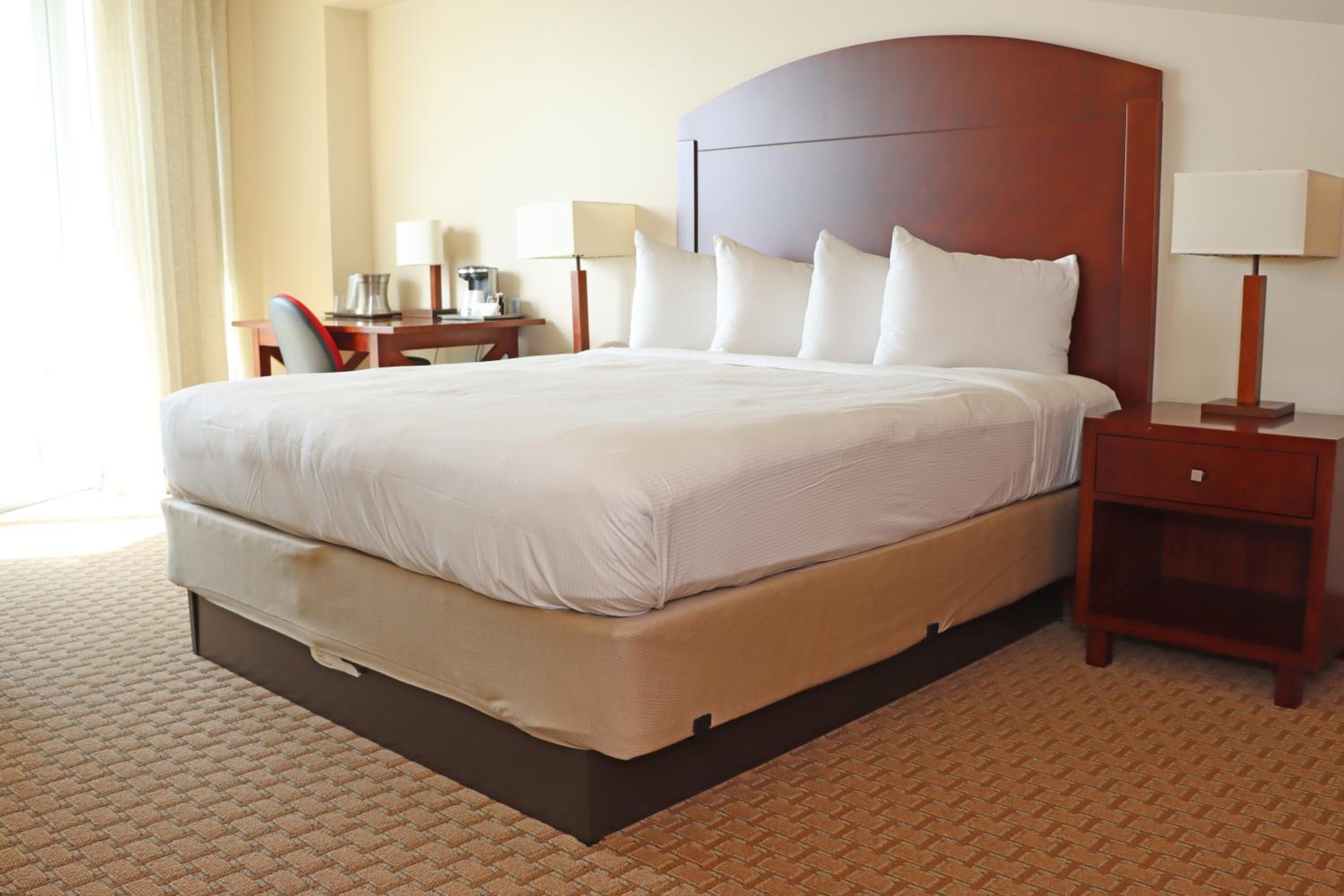 Elite Studio Suite photo 1