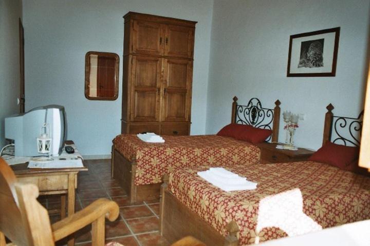 Twin Room - Photo 4