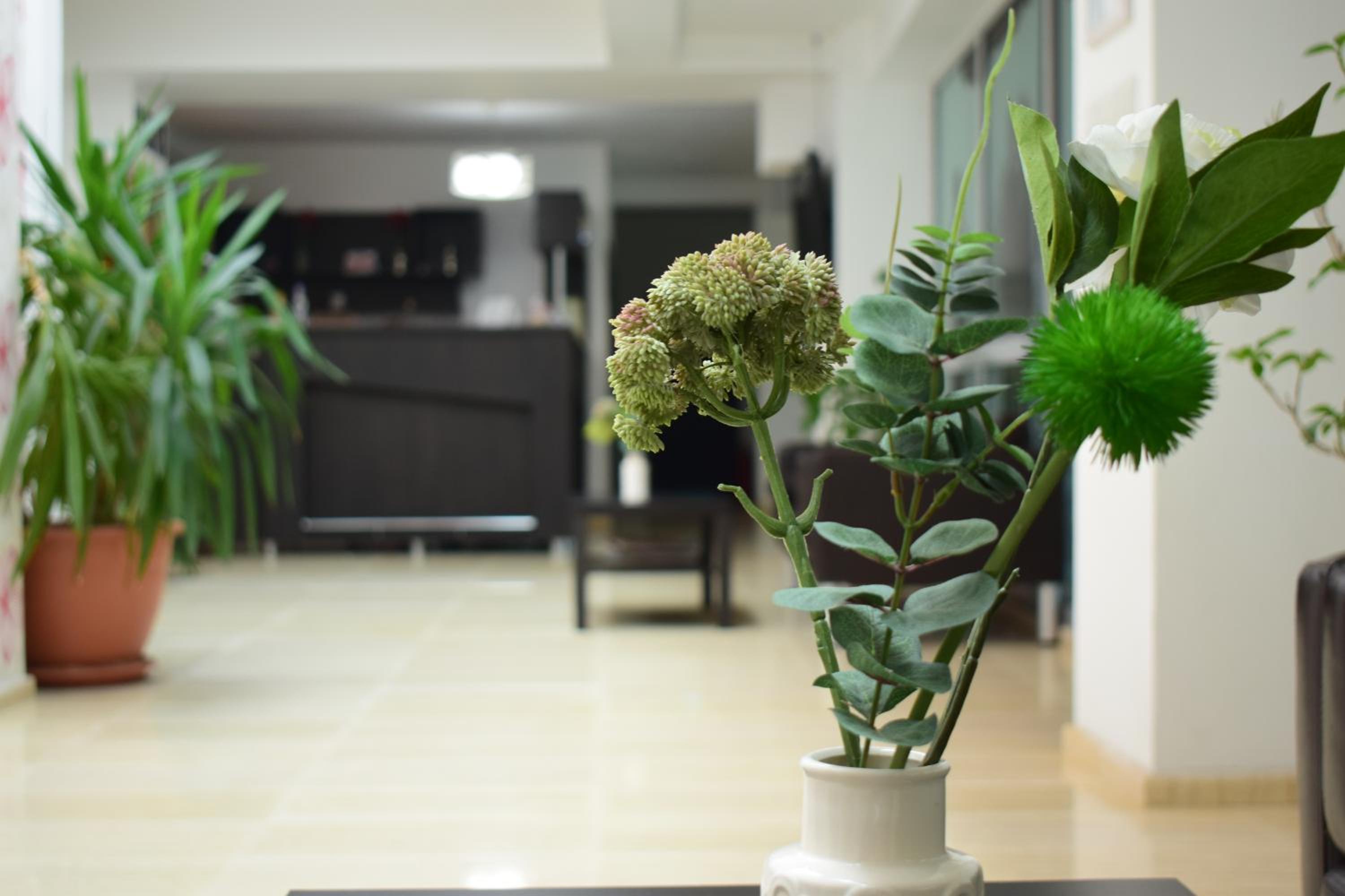 Junior Suite photo 2