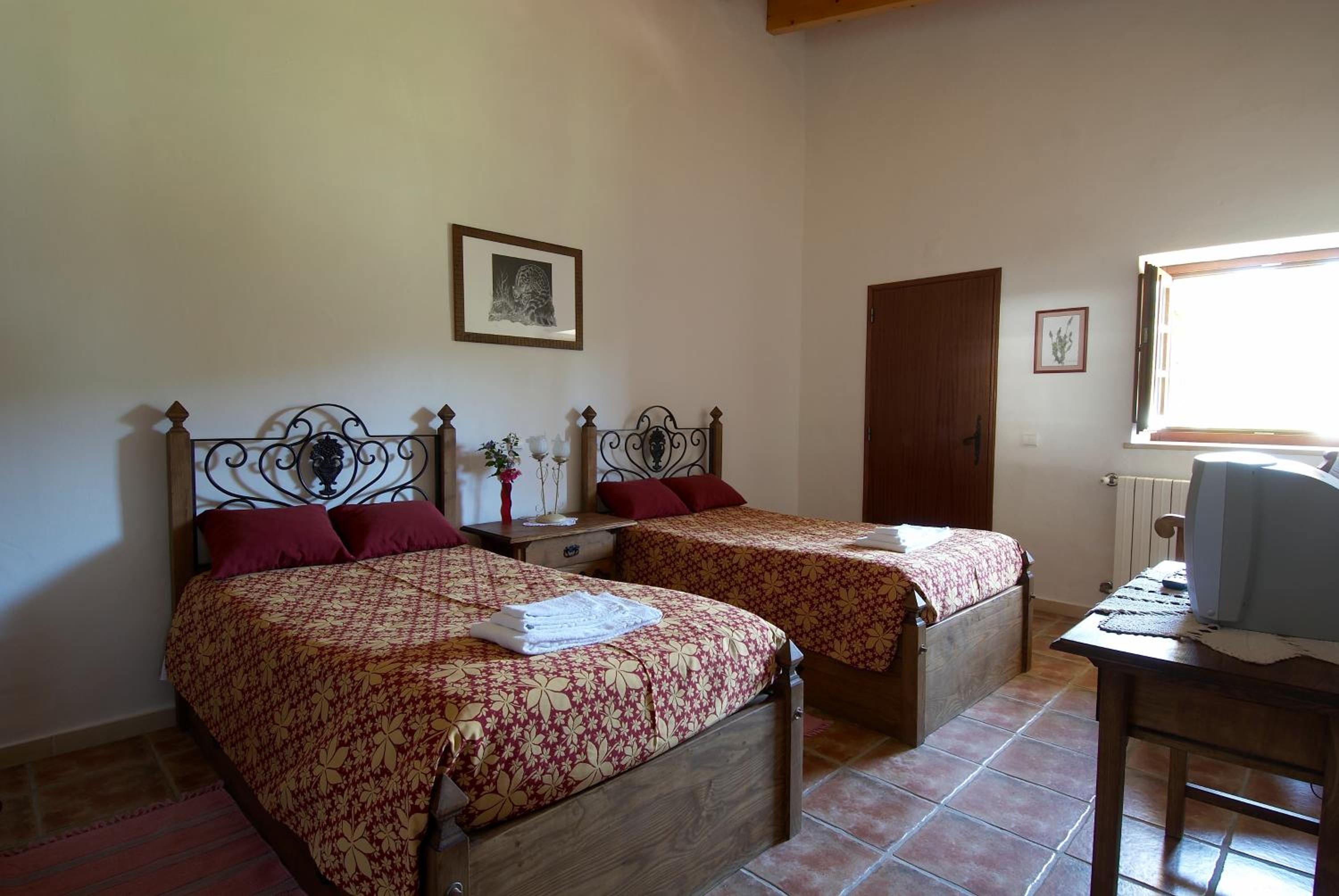 Twin Room - Photo 8