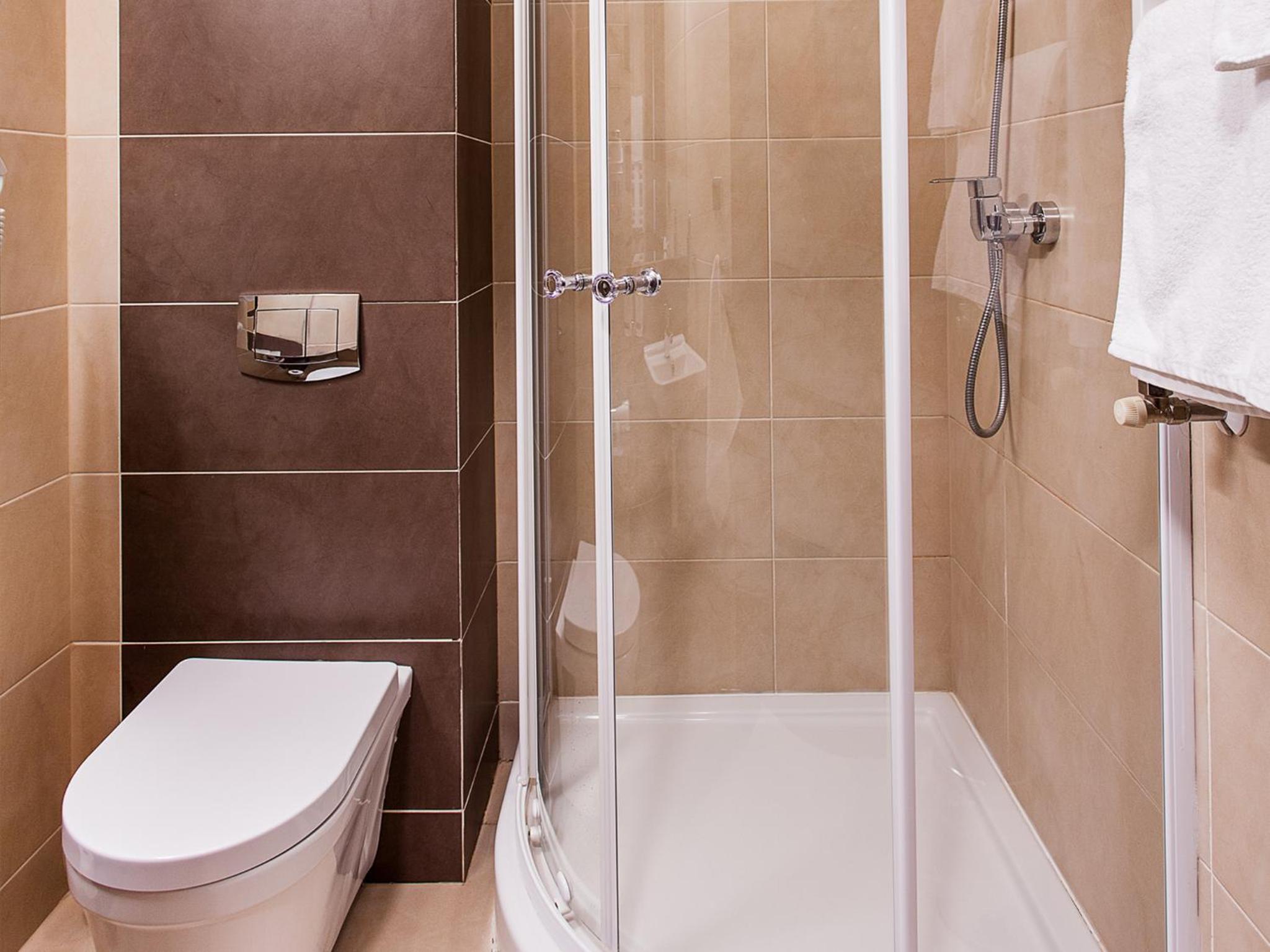 Deluxe Double or Twin Room photo 2