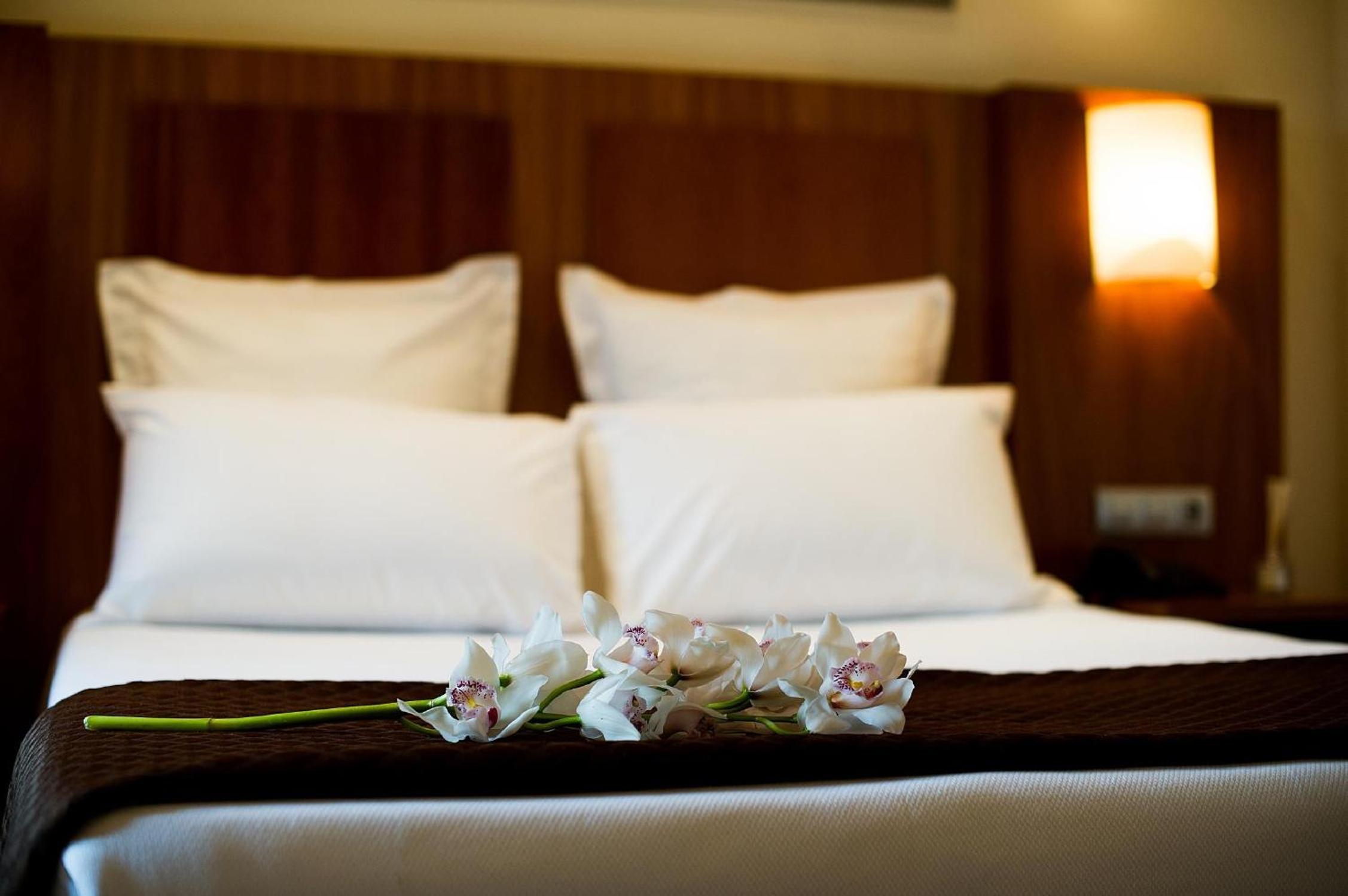 Double or Twin Room photo 3