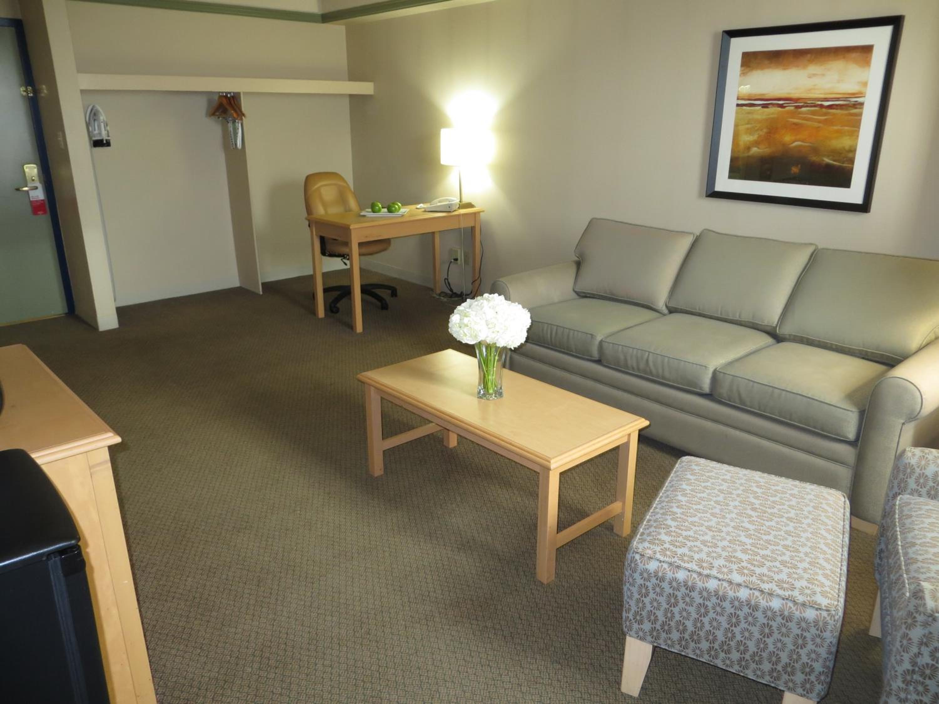 Parlor King Suite with Sofa photo 2