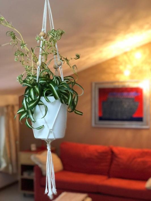 Apartment - Photo 9