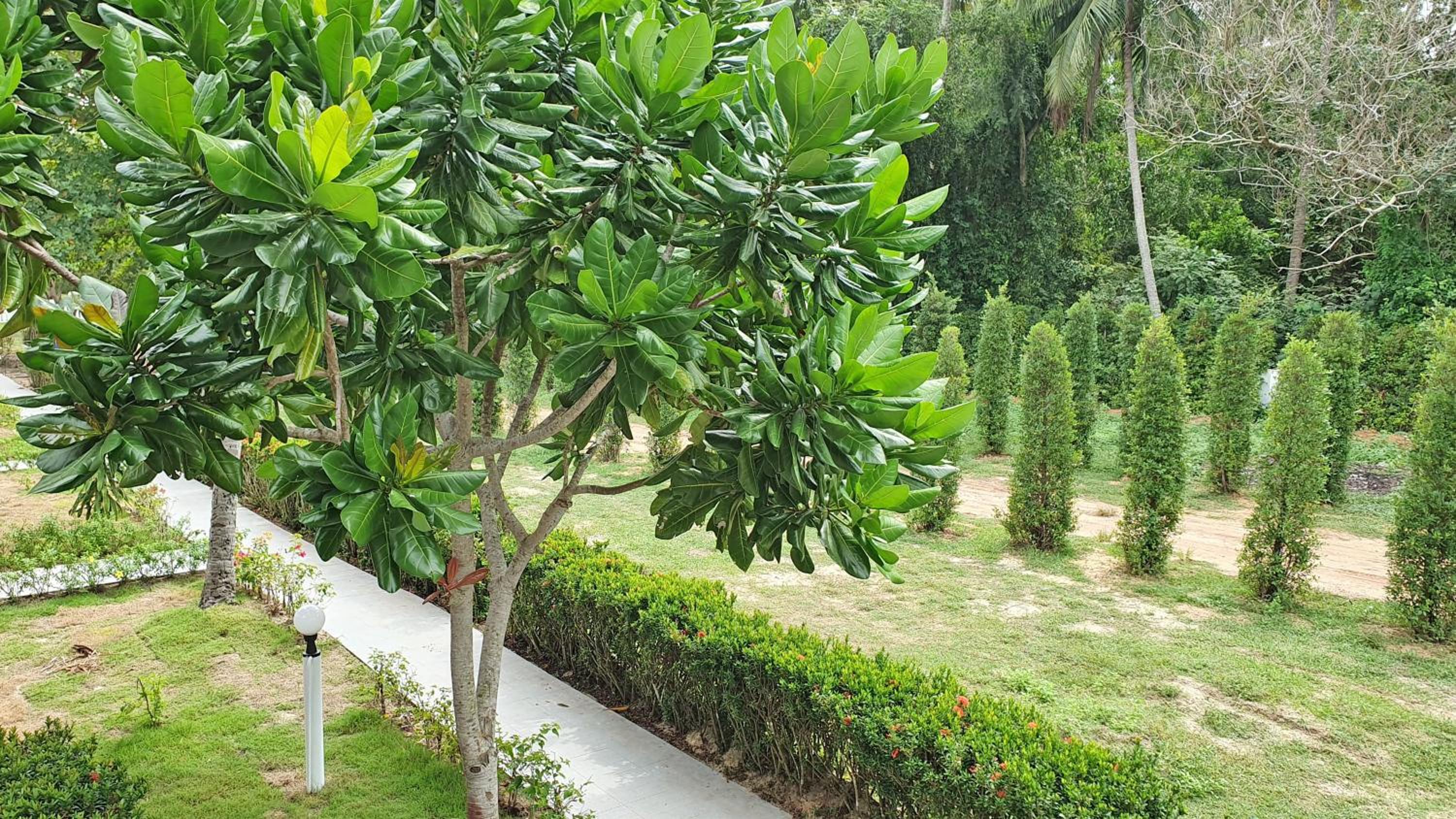 Bungalow - Photo 2