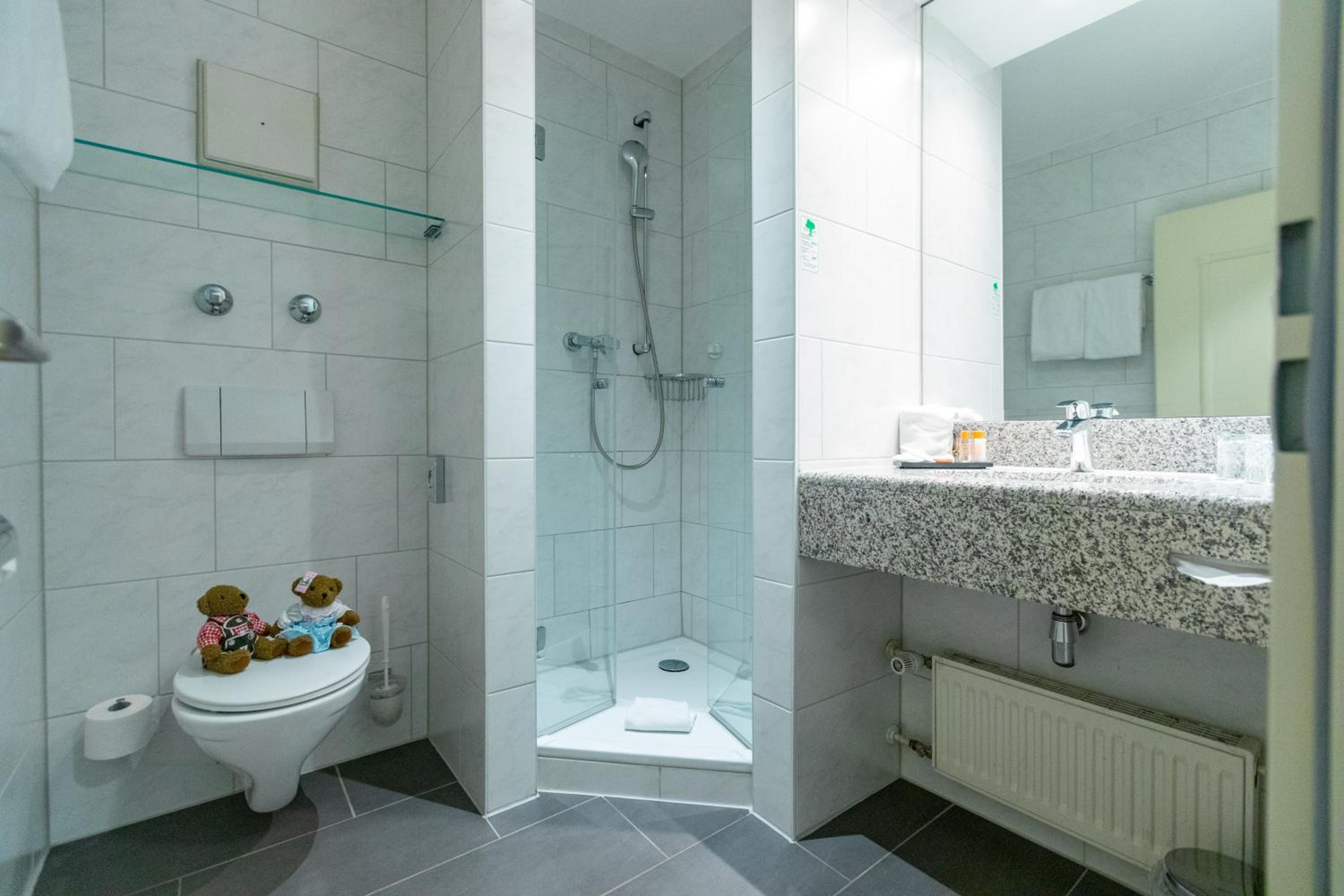 Superior Double or Twin Room photo 2