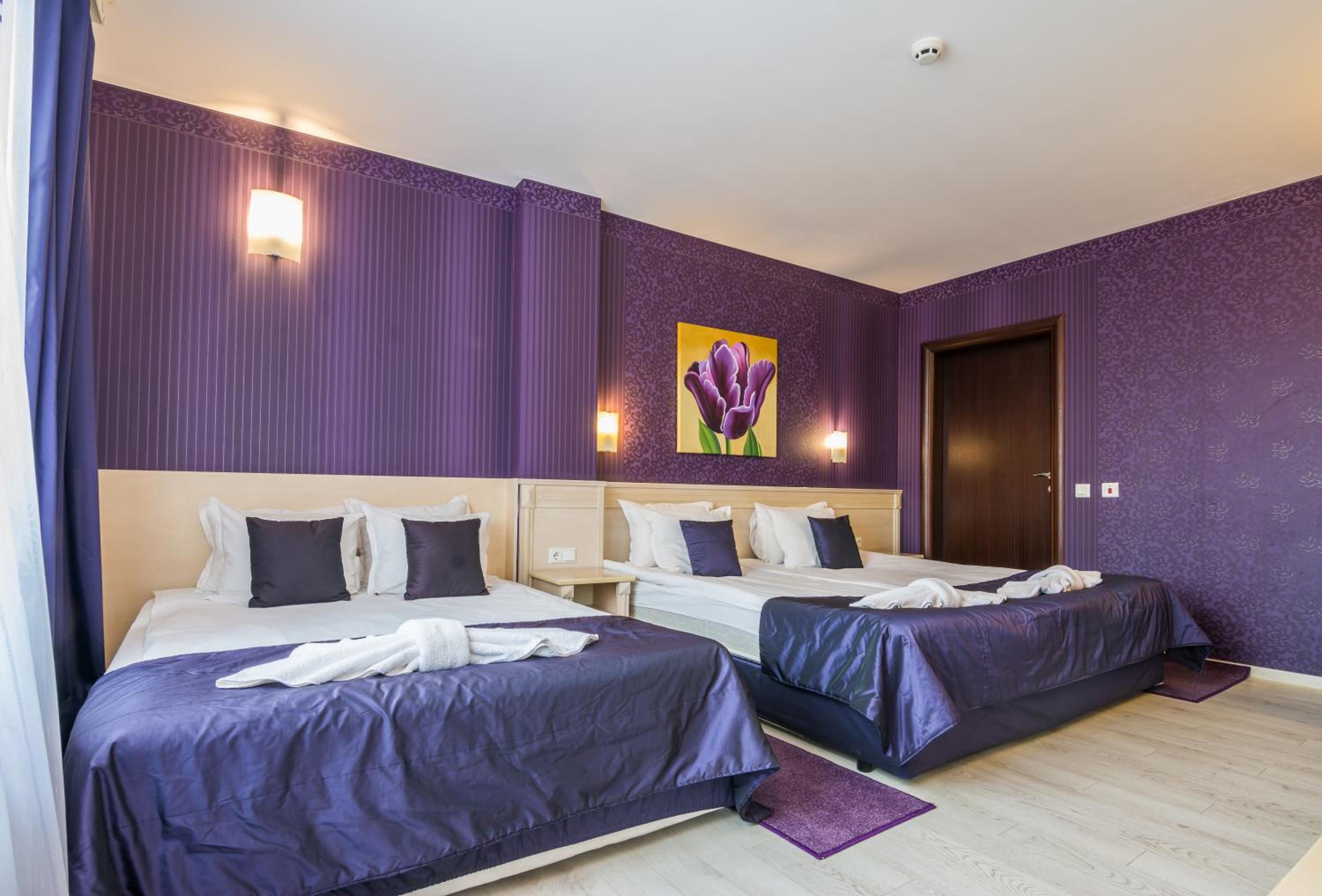 Grand Suite photo 3