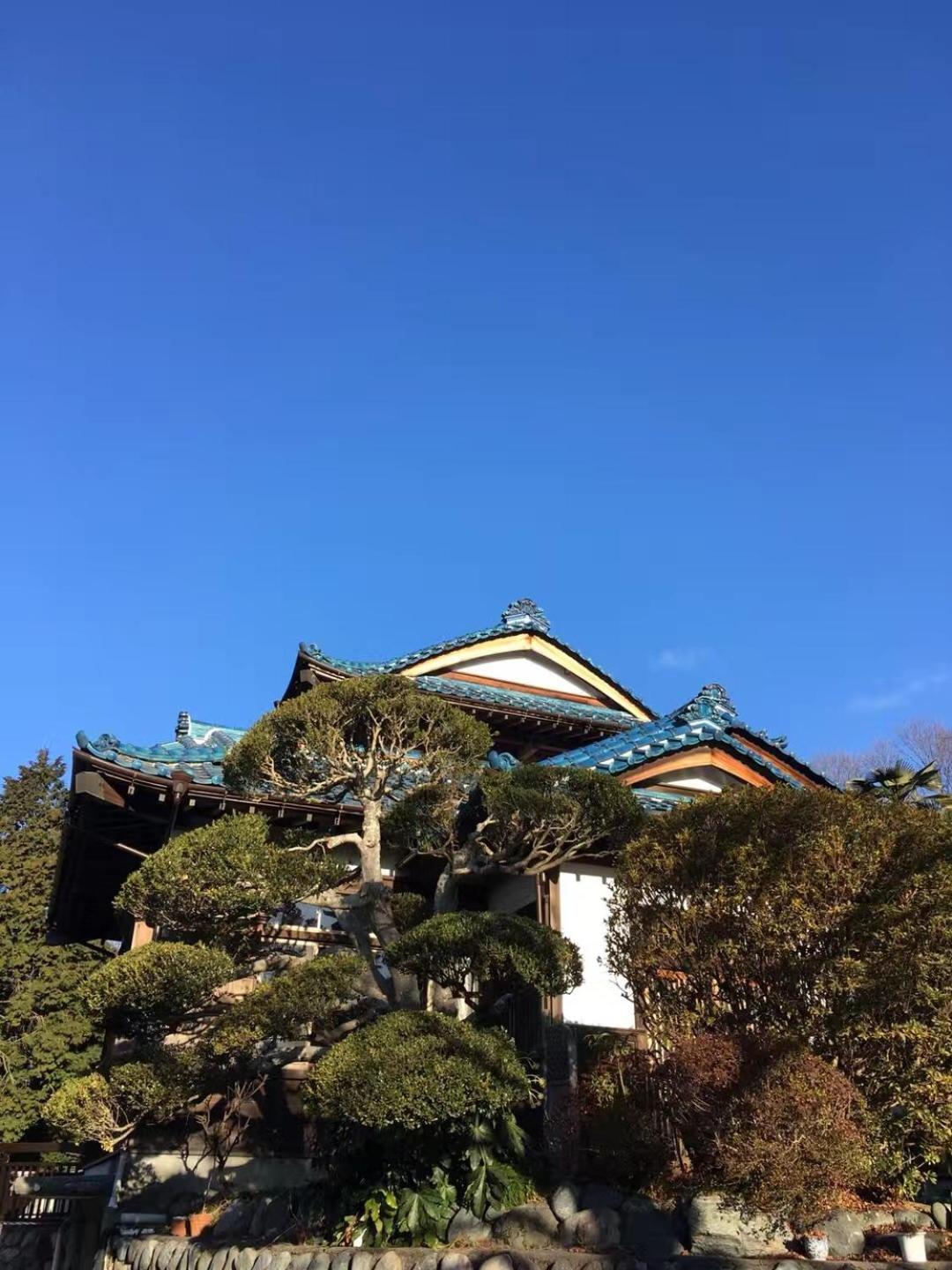 Deluxe Villa photo 2