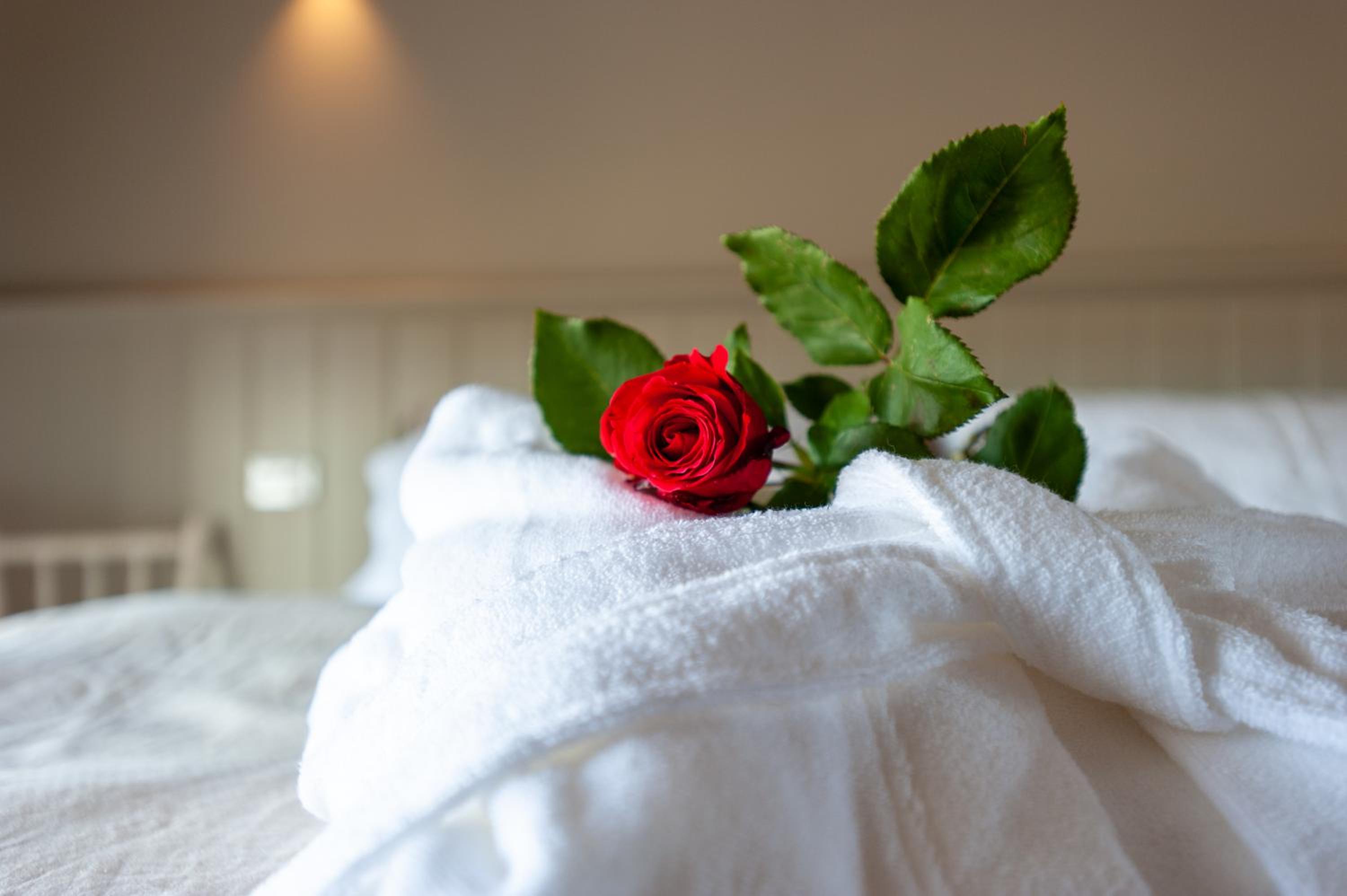Deluxe Suite With Spa Bath photo 1