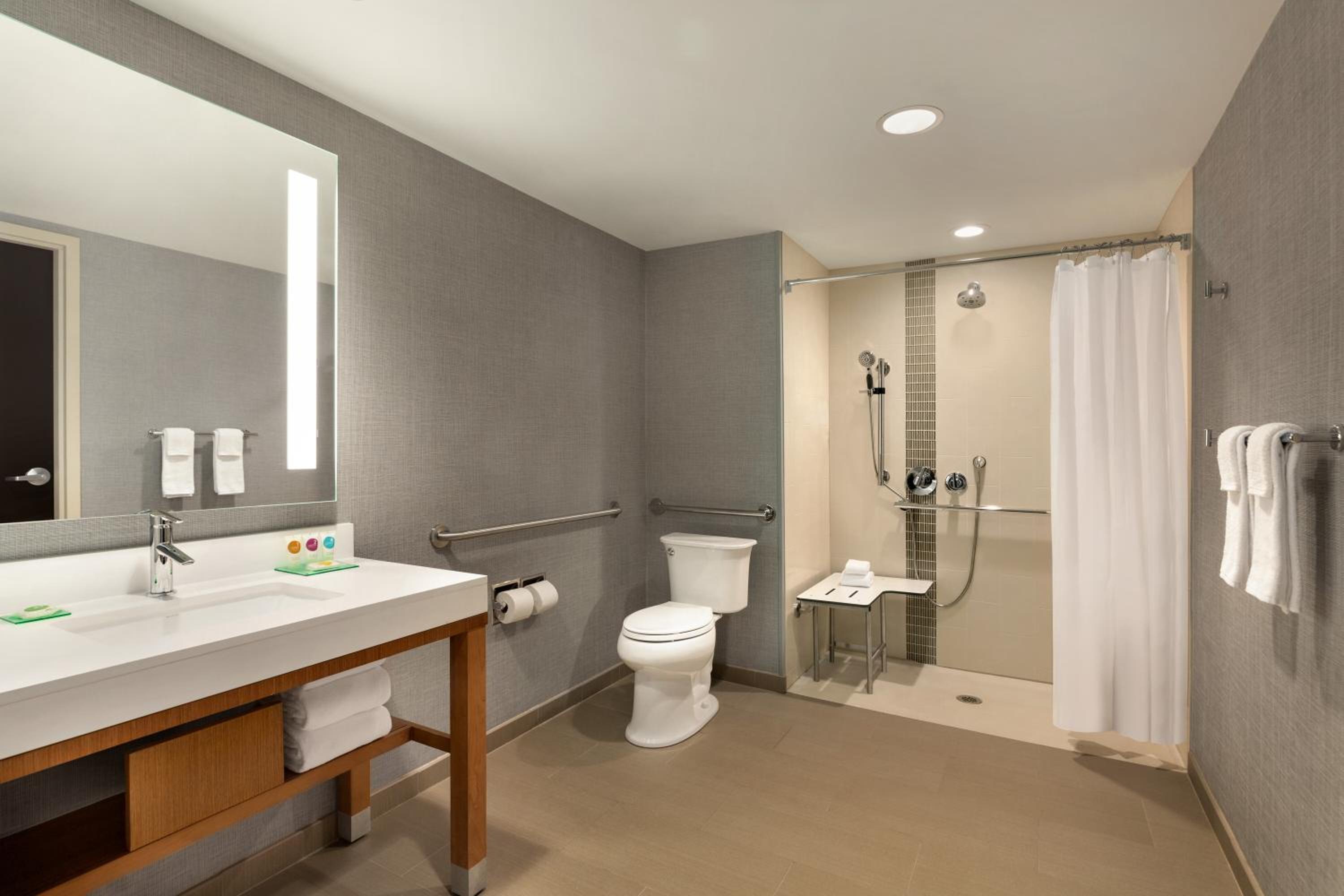 King Suite with Sofa Bed and Accessible Tub - Photo 7
