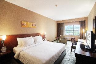 Deluxe Queen Room - Photo 5