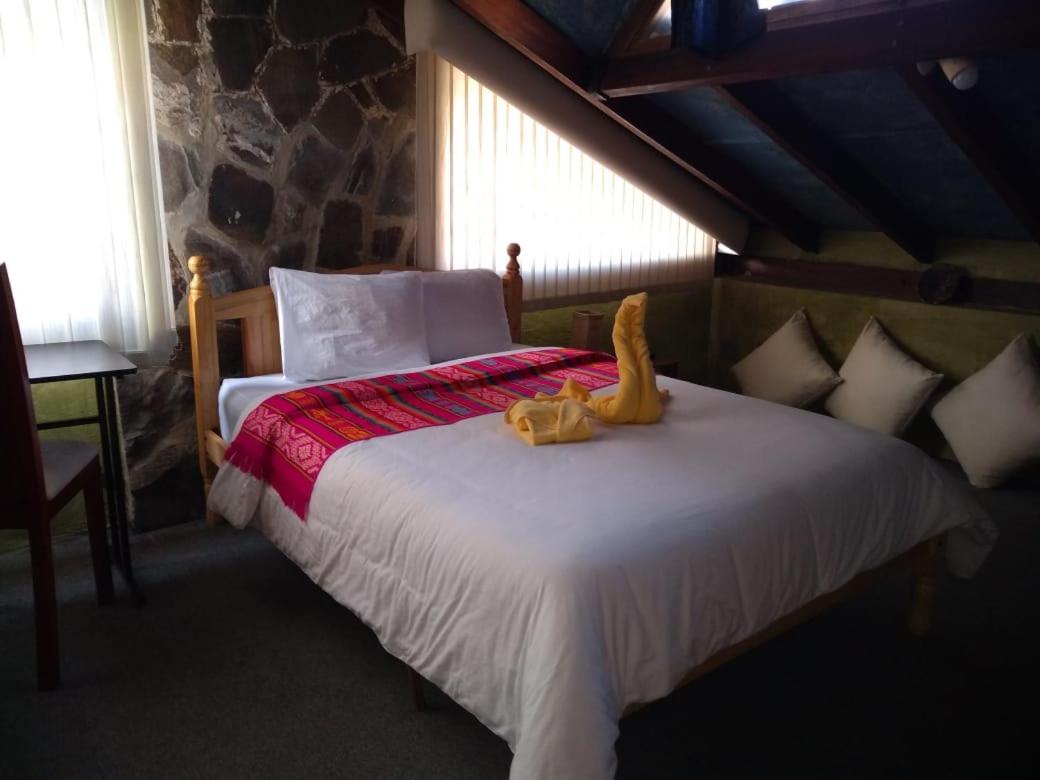 Standard Single Room photo 3