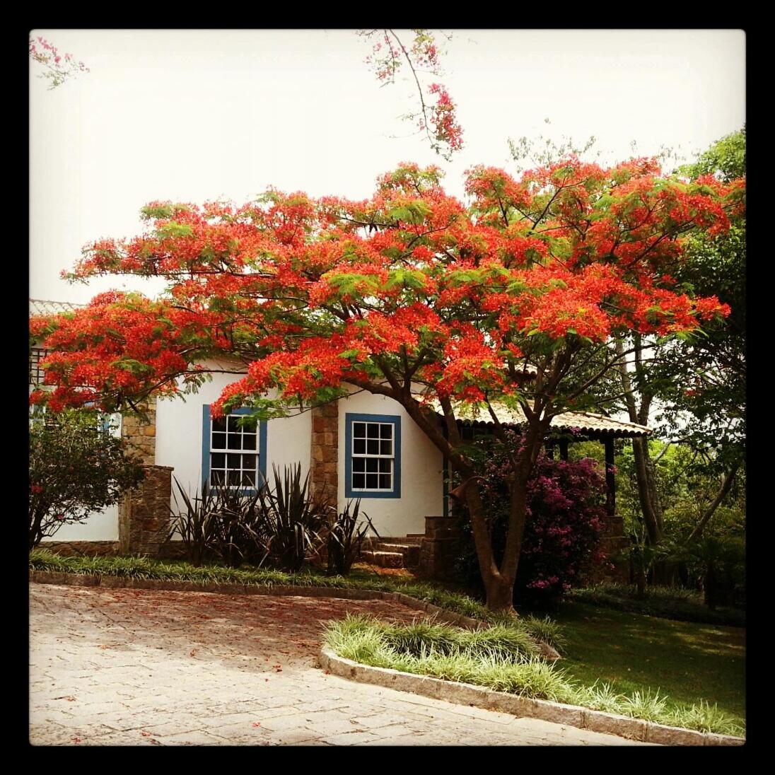 Villa with Garden View - Photo 15