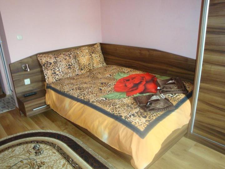 Large Double Room photo 1