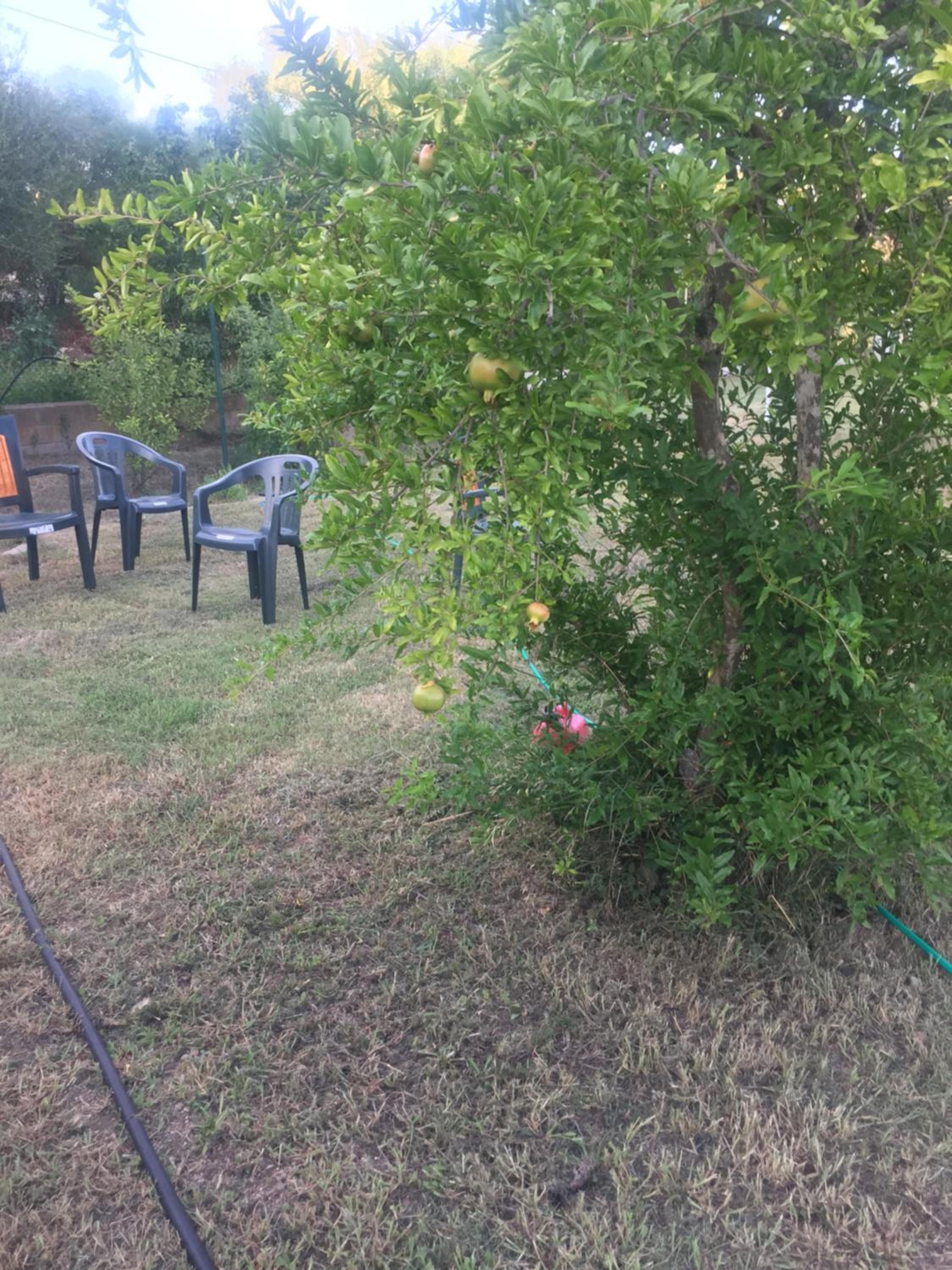 Η Κατοικία της Θείας Αννίνας στη Σαρδηνία, Φωτογραφία 7