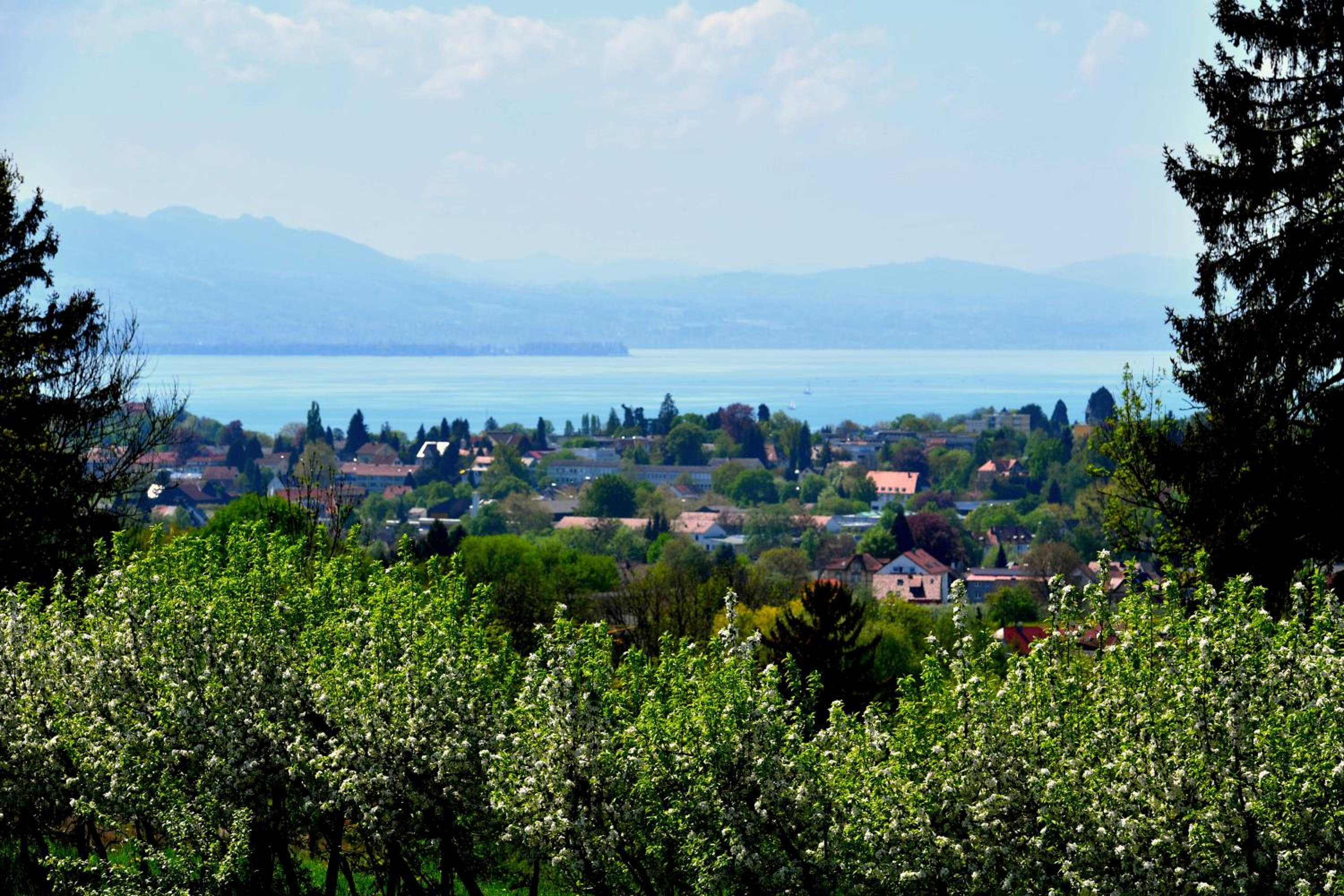 Apartment N° 18 mit Seeblick photo 2
