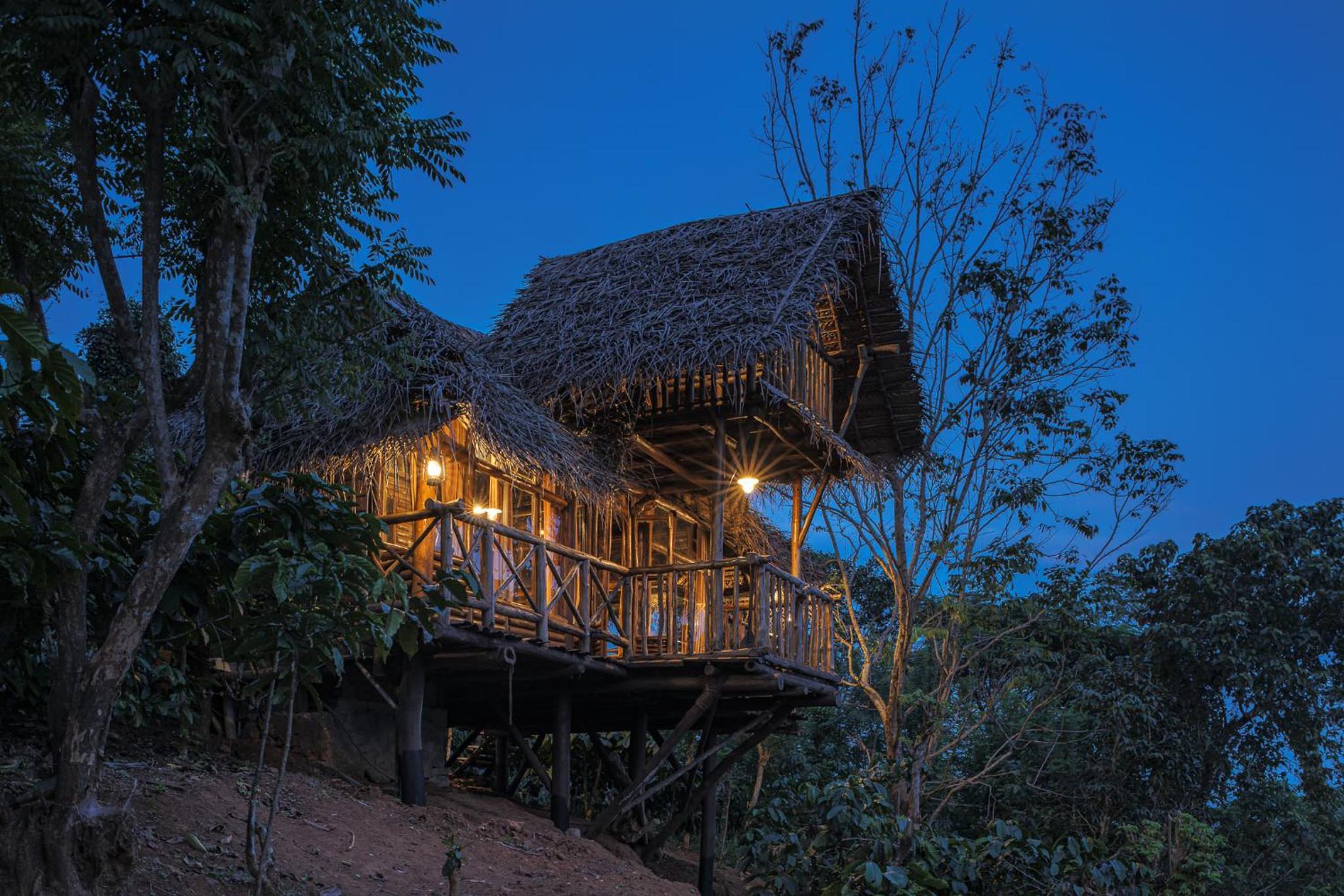 Hornbill Treehut photo 2