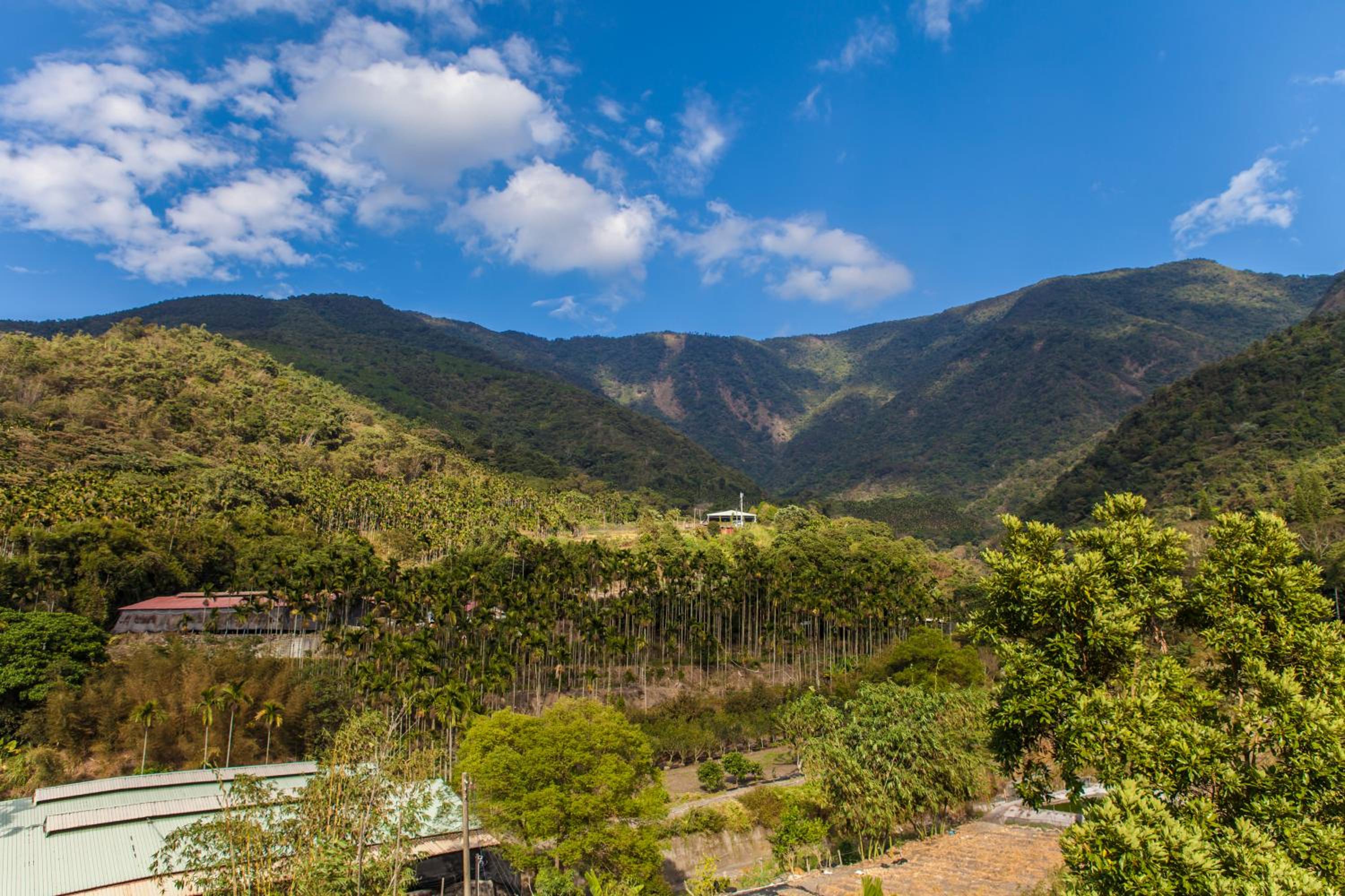 Double Room with Mountain View photo 3