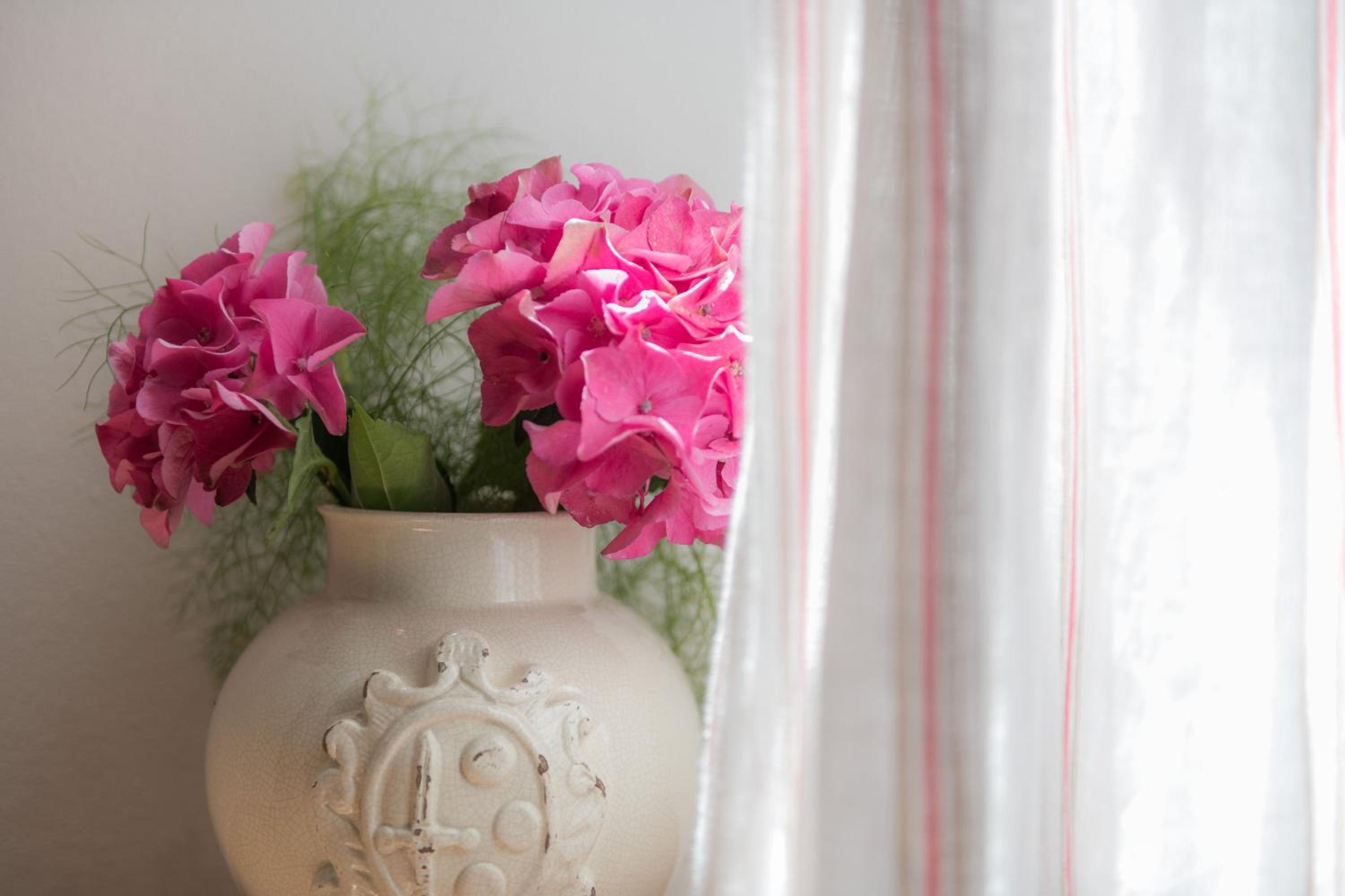 Junior Suite - Photo 9
