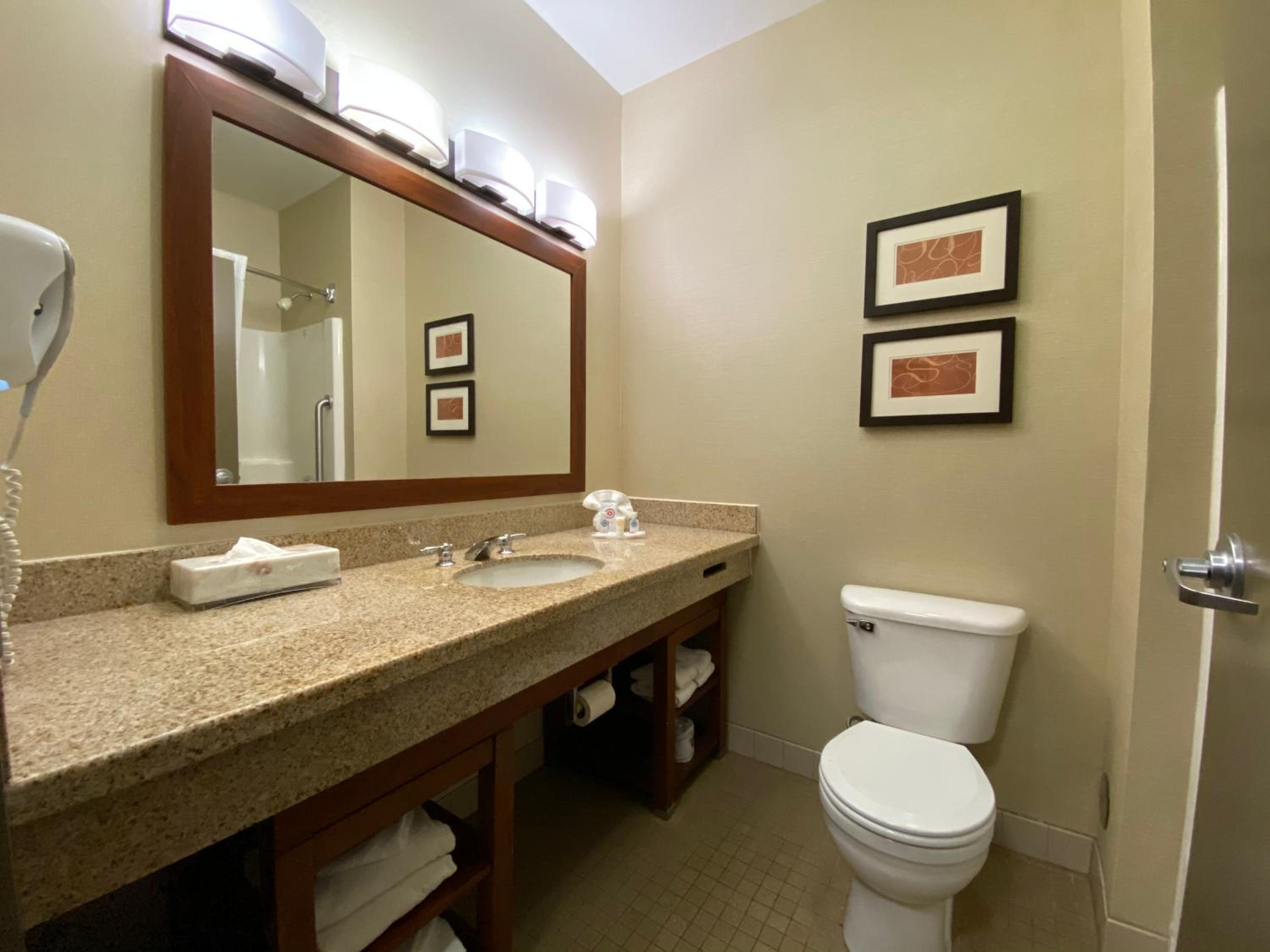 King Suite - Non-Smoking - Photo 3