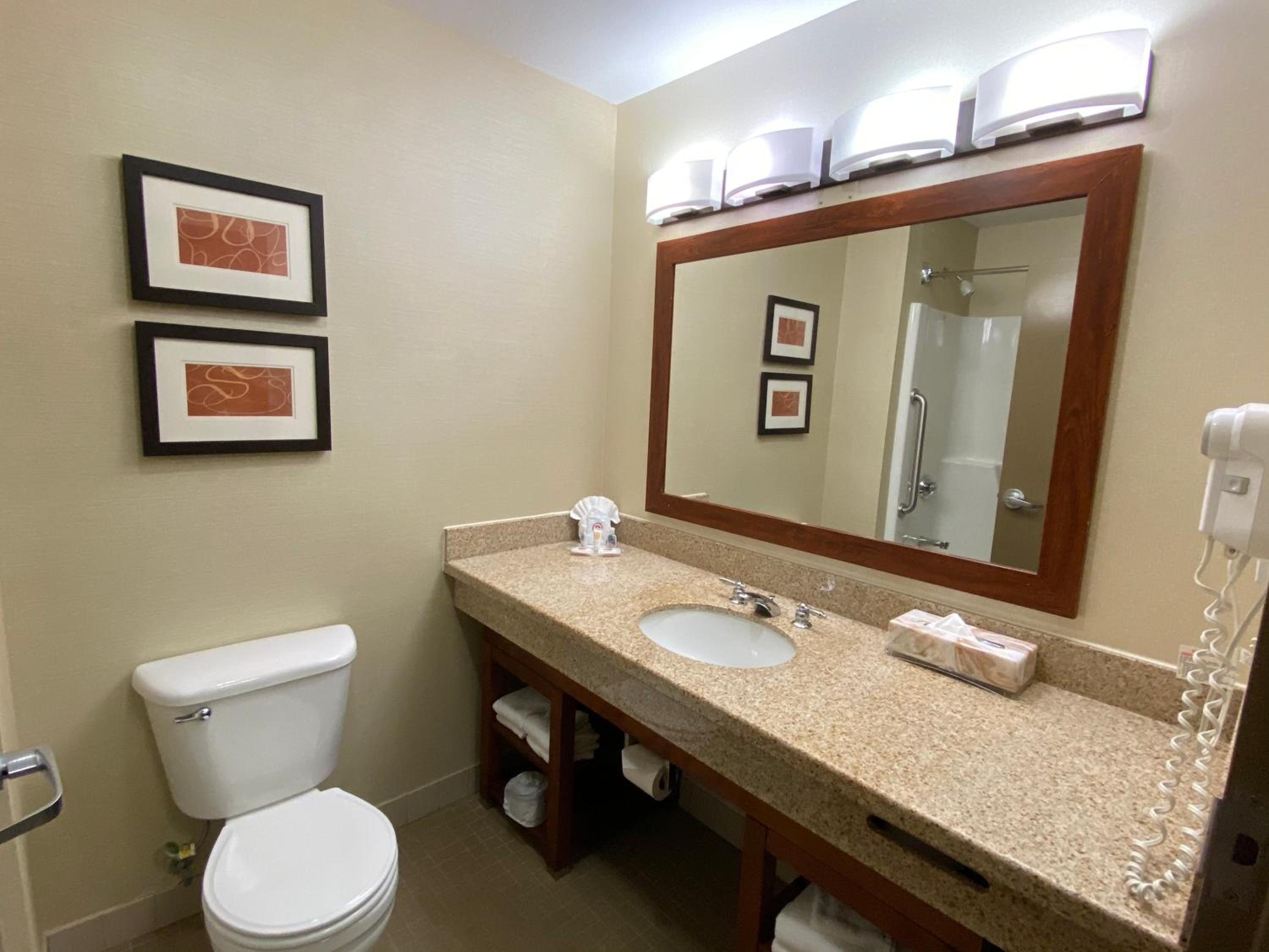 King Suite - Non-Smoking - Photo 4