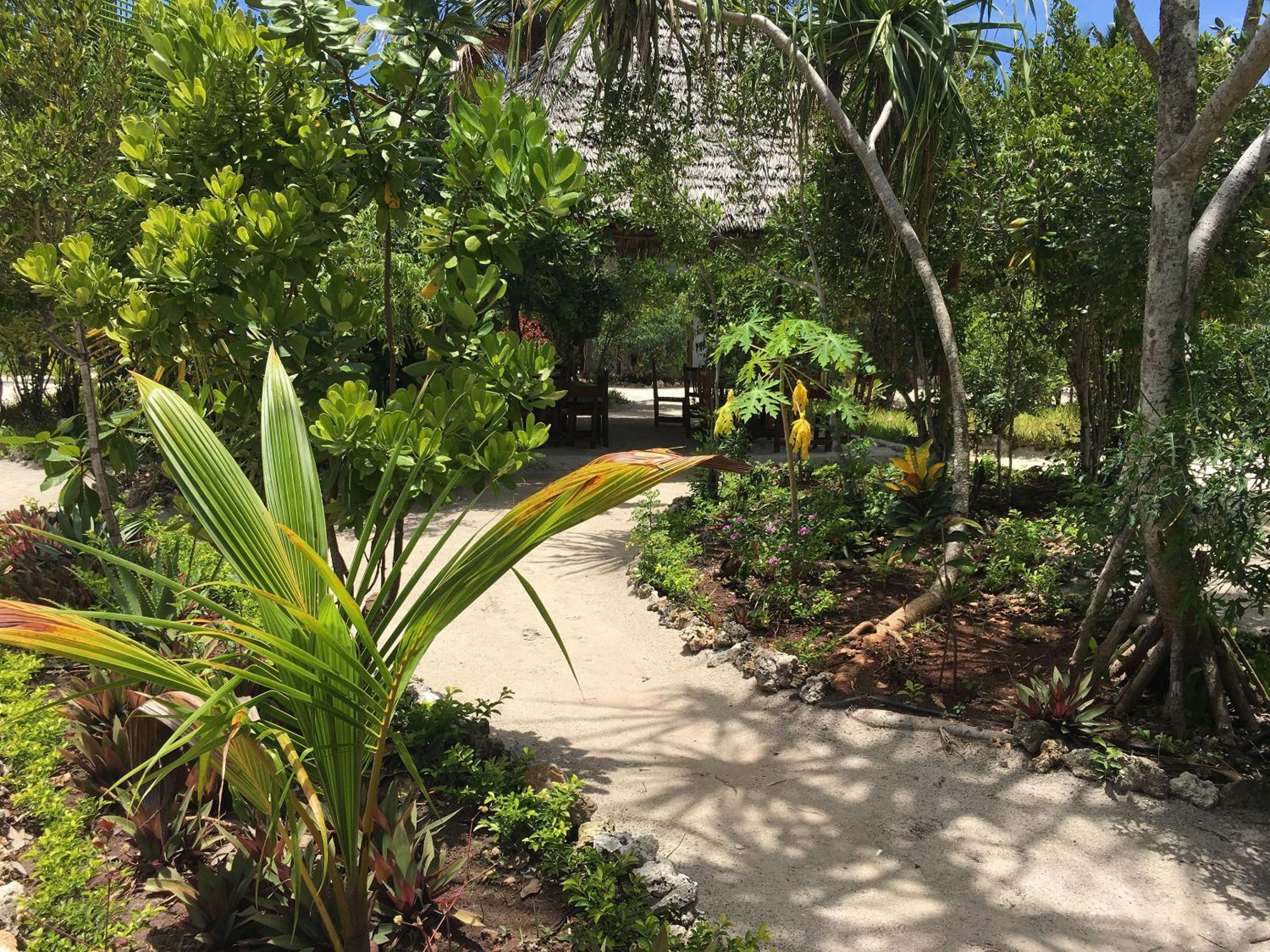 Bungalow with Garden view (5)