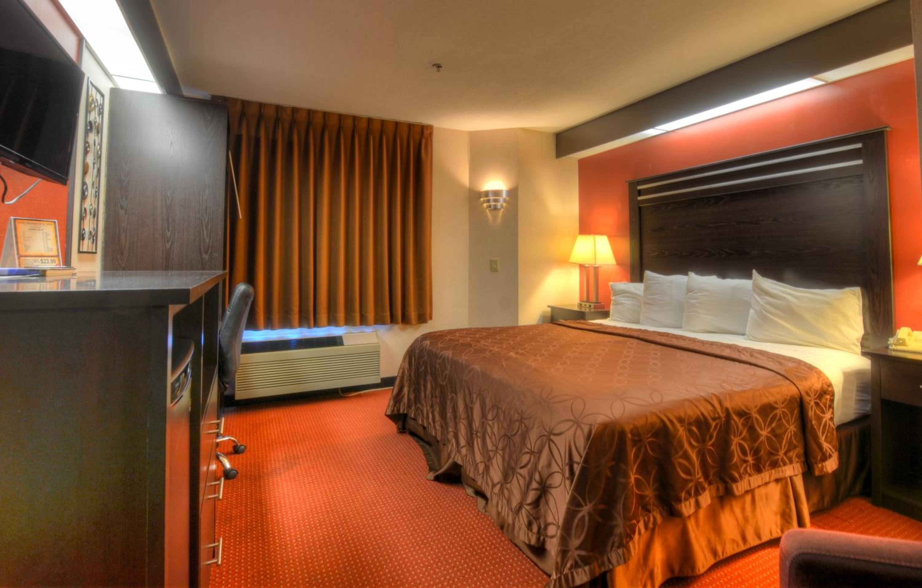 King Room photo 1