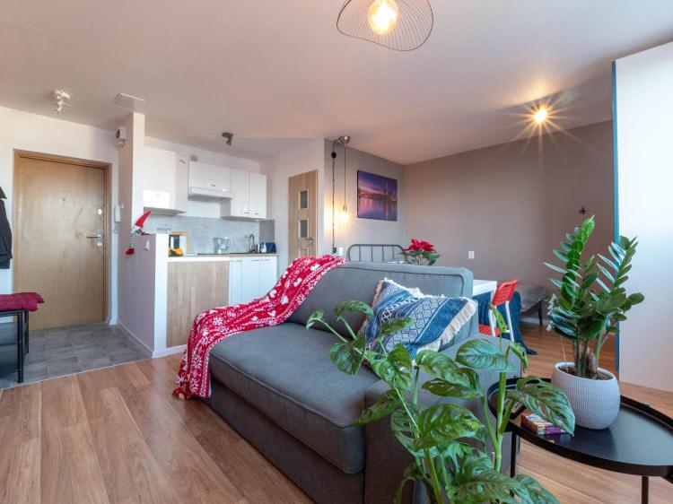 Studio Apartment photo 3