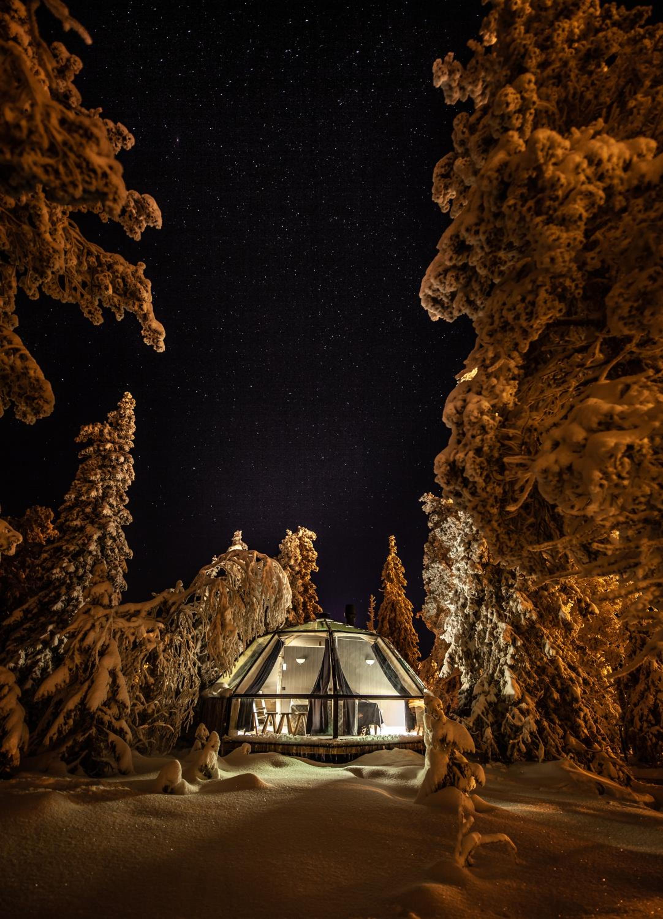 Igloo - Photo 12