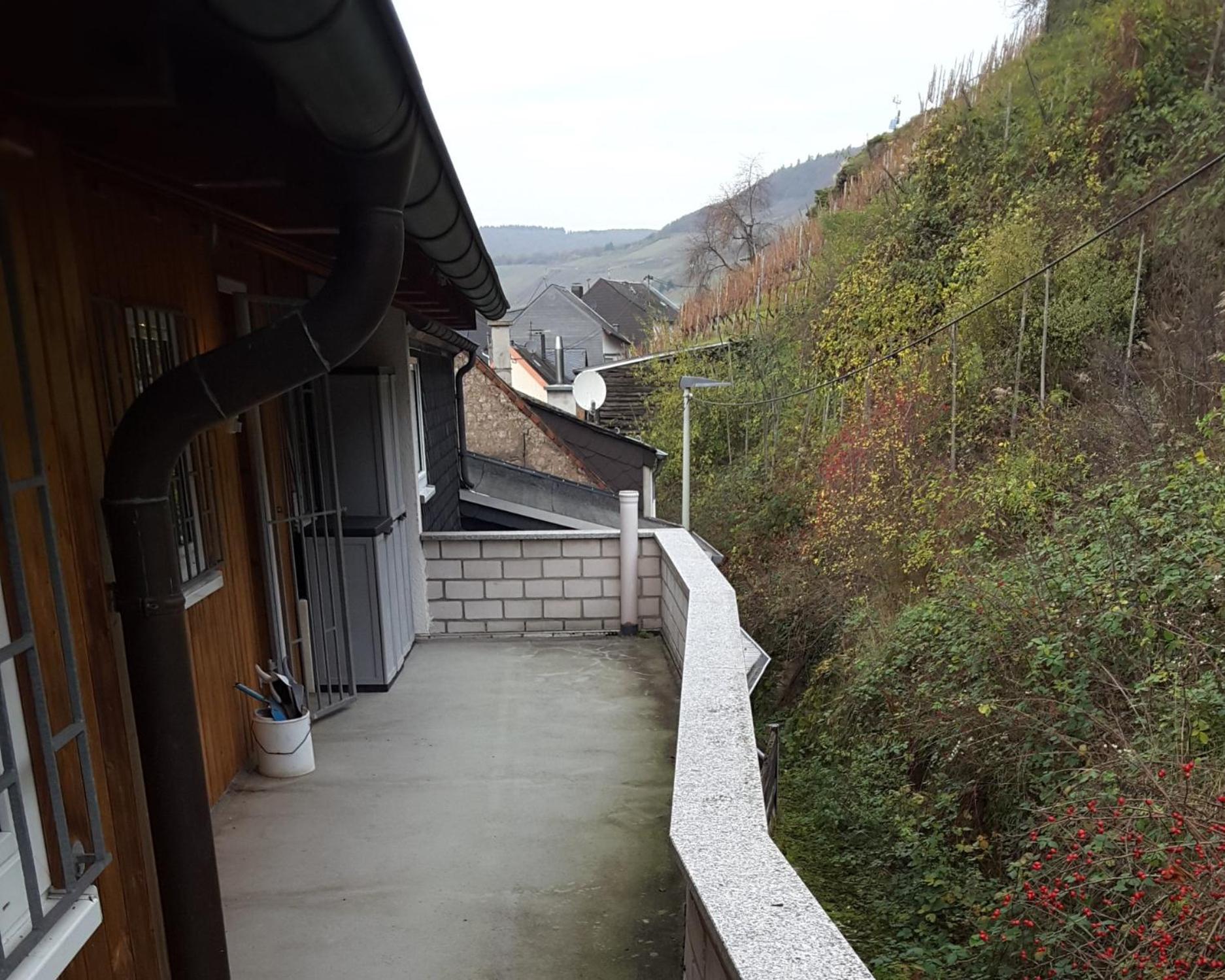 葡萄园露台的阁楼公寓